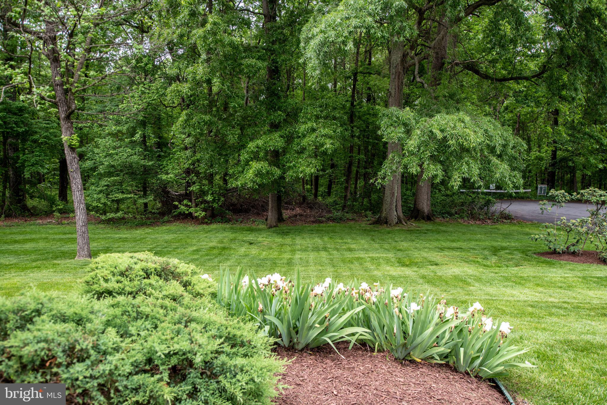 TIMOTHY PARK - Residential