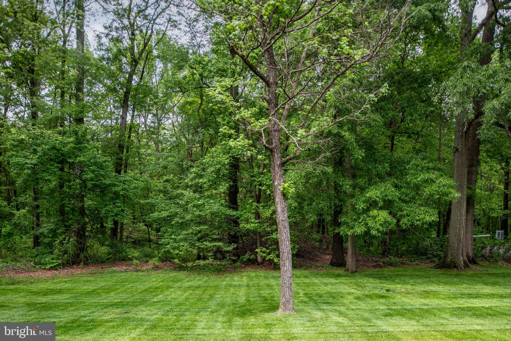 TIMOTHY PARK - Residential