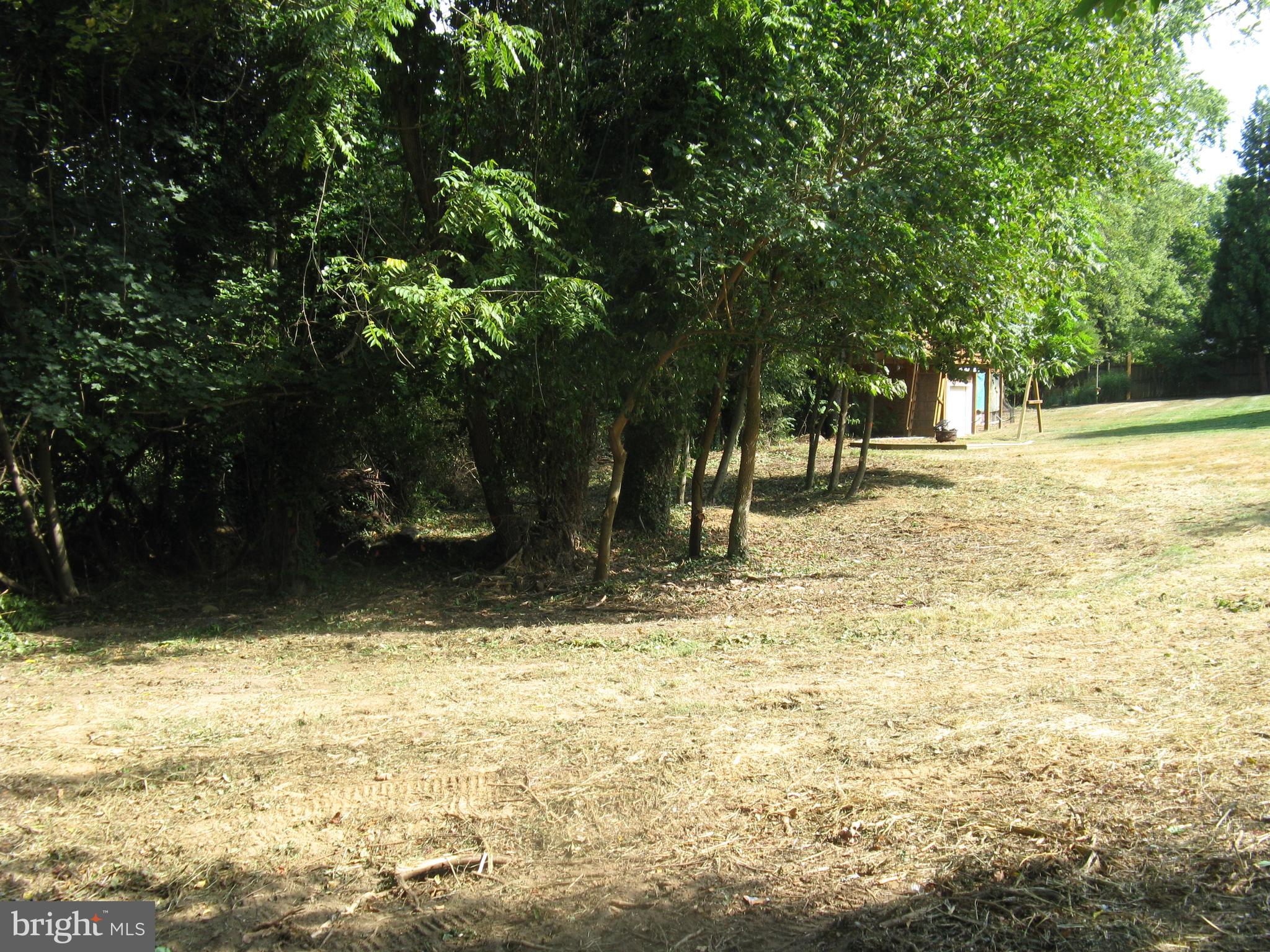 Lot 1 C HARMON LODGE LANE