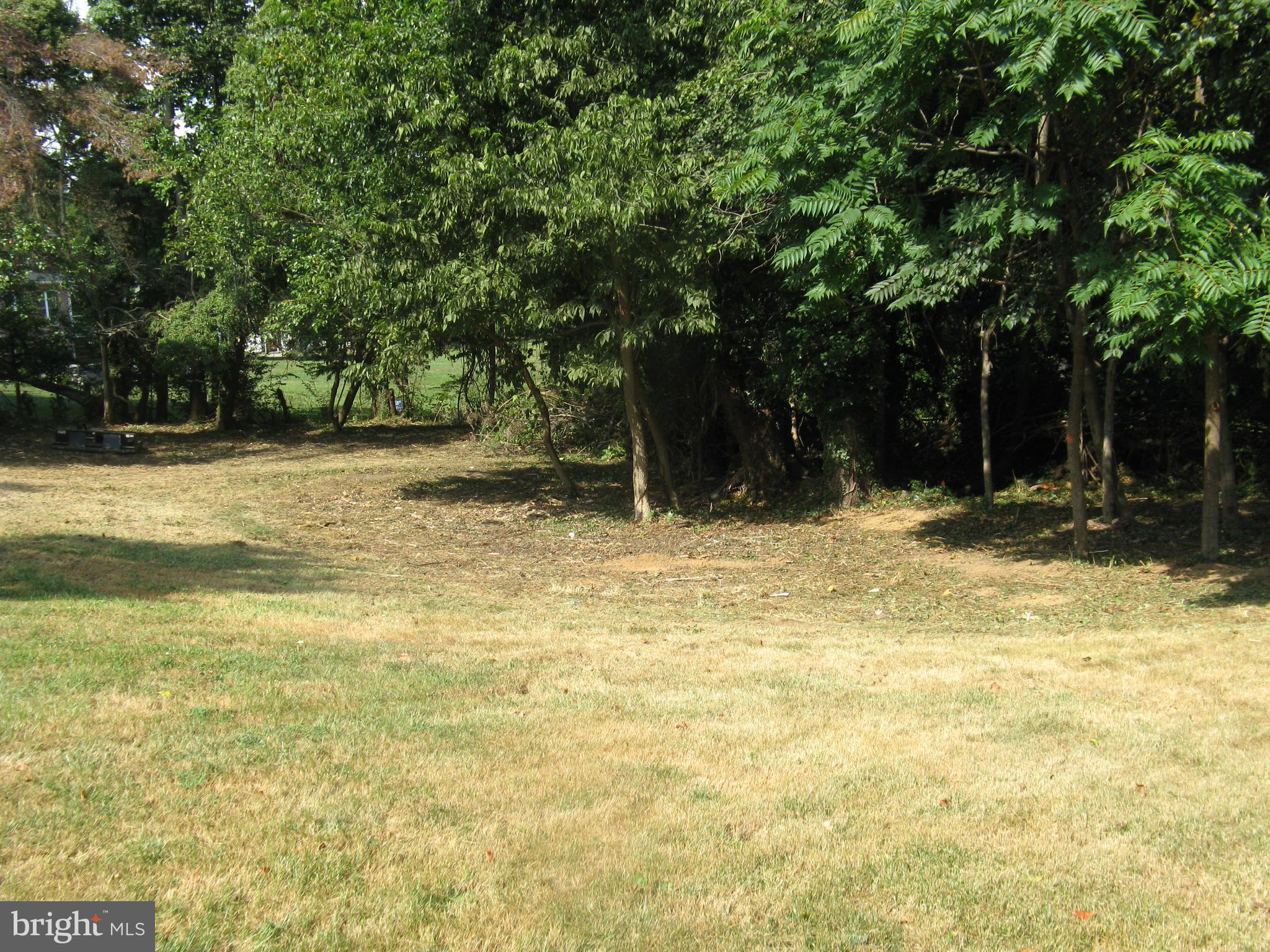 Lot 1 C HARMON LODGE LANE