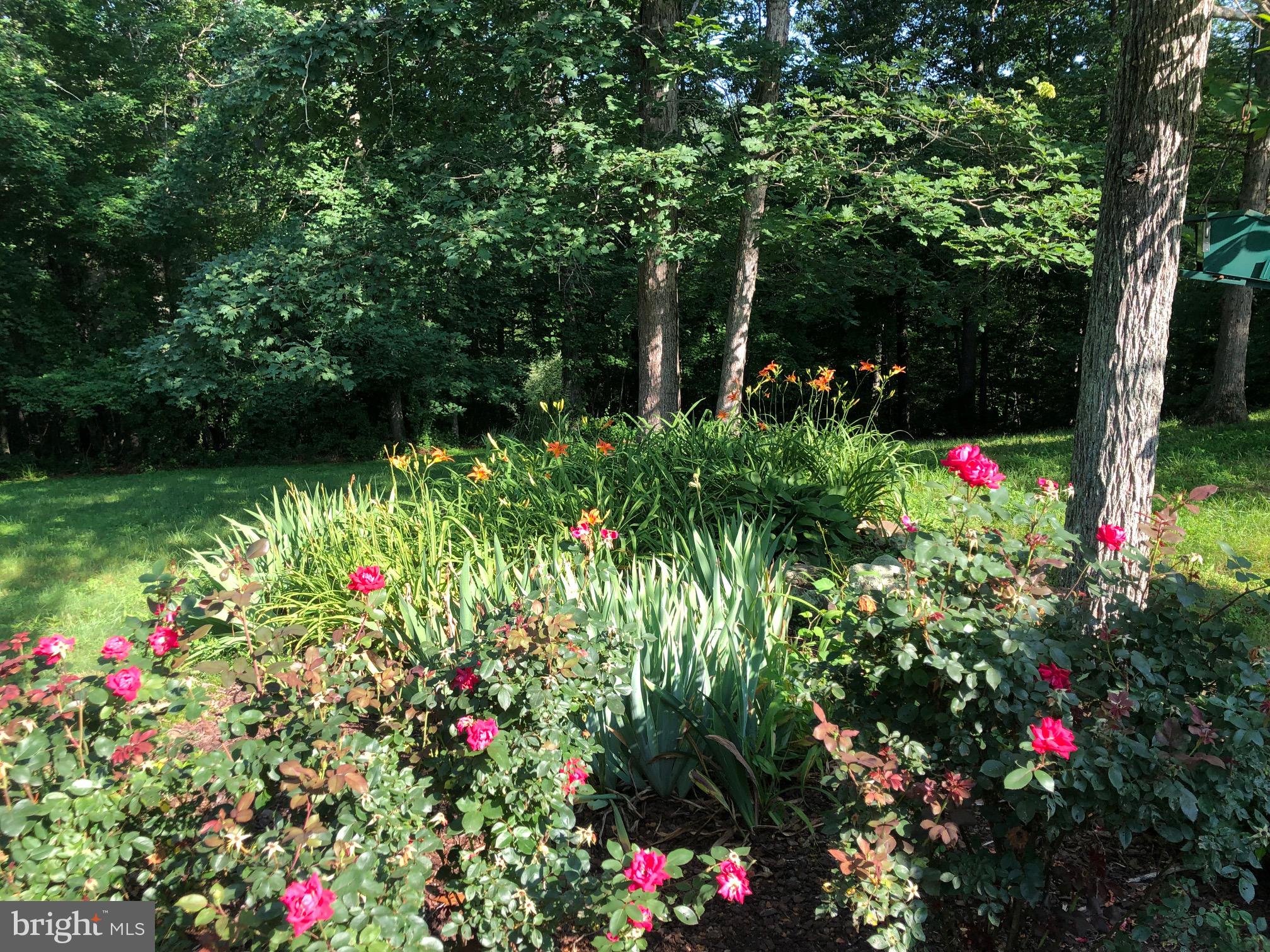 RIVERSIDE - Residential