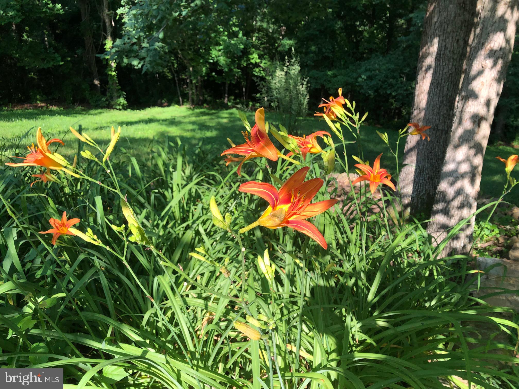 RIVERSIDE - Residential