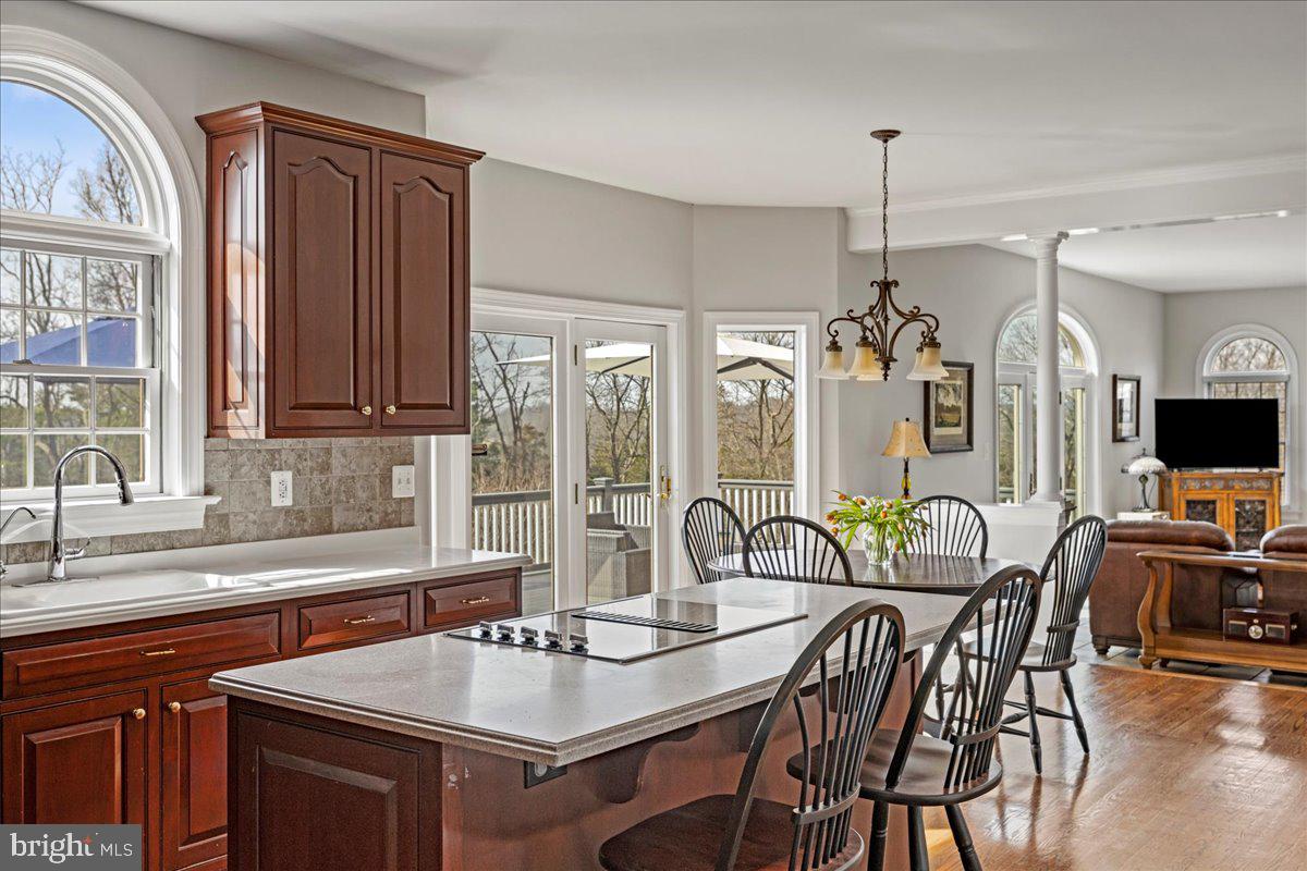 TINICUM RIDGE - Residential