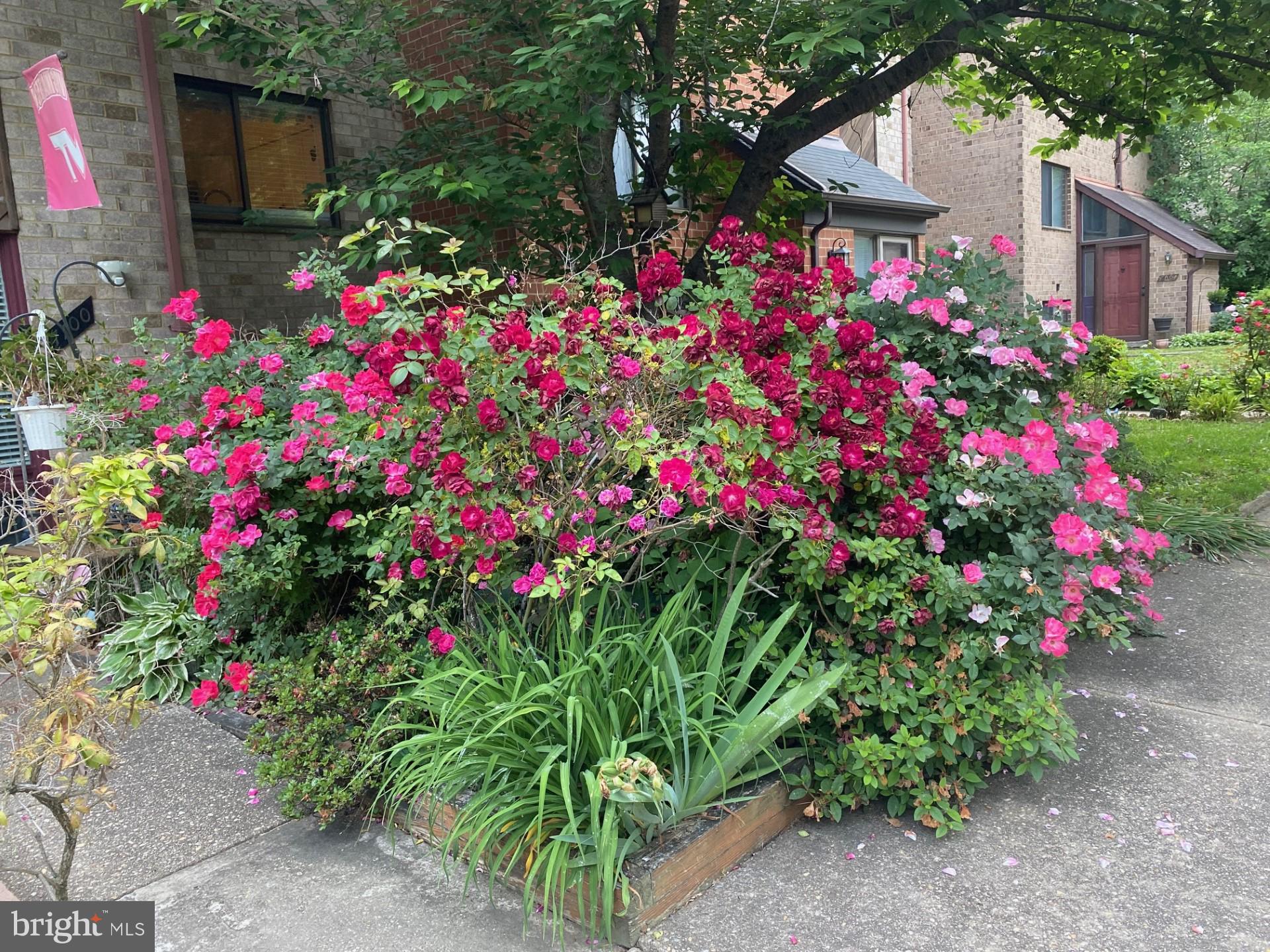 VILLAGE OF OWEN BROWN - Residential