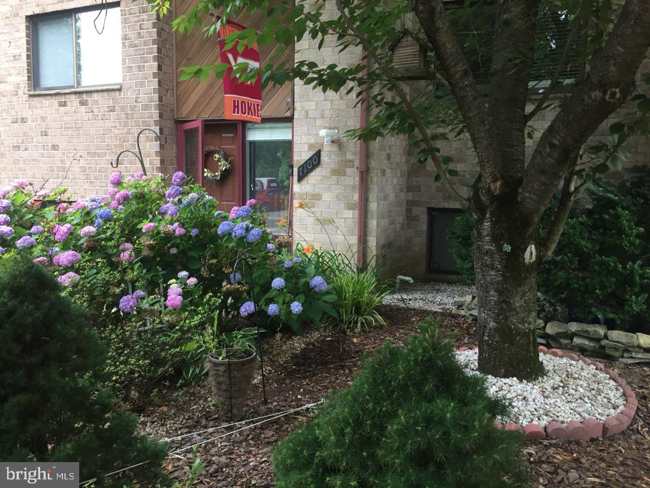 VILLAGE OF OWEN BROWN - Residential