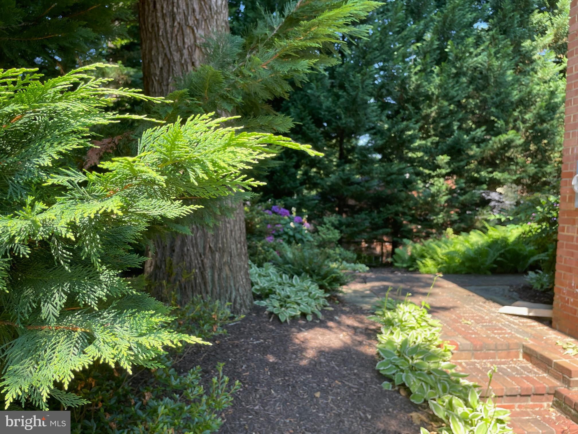 NORTH SPRINGFIELD - Residential