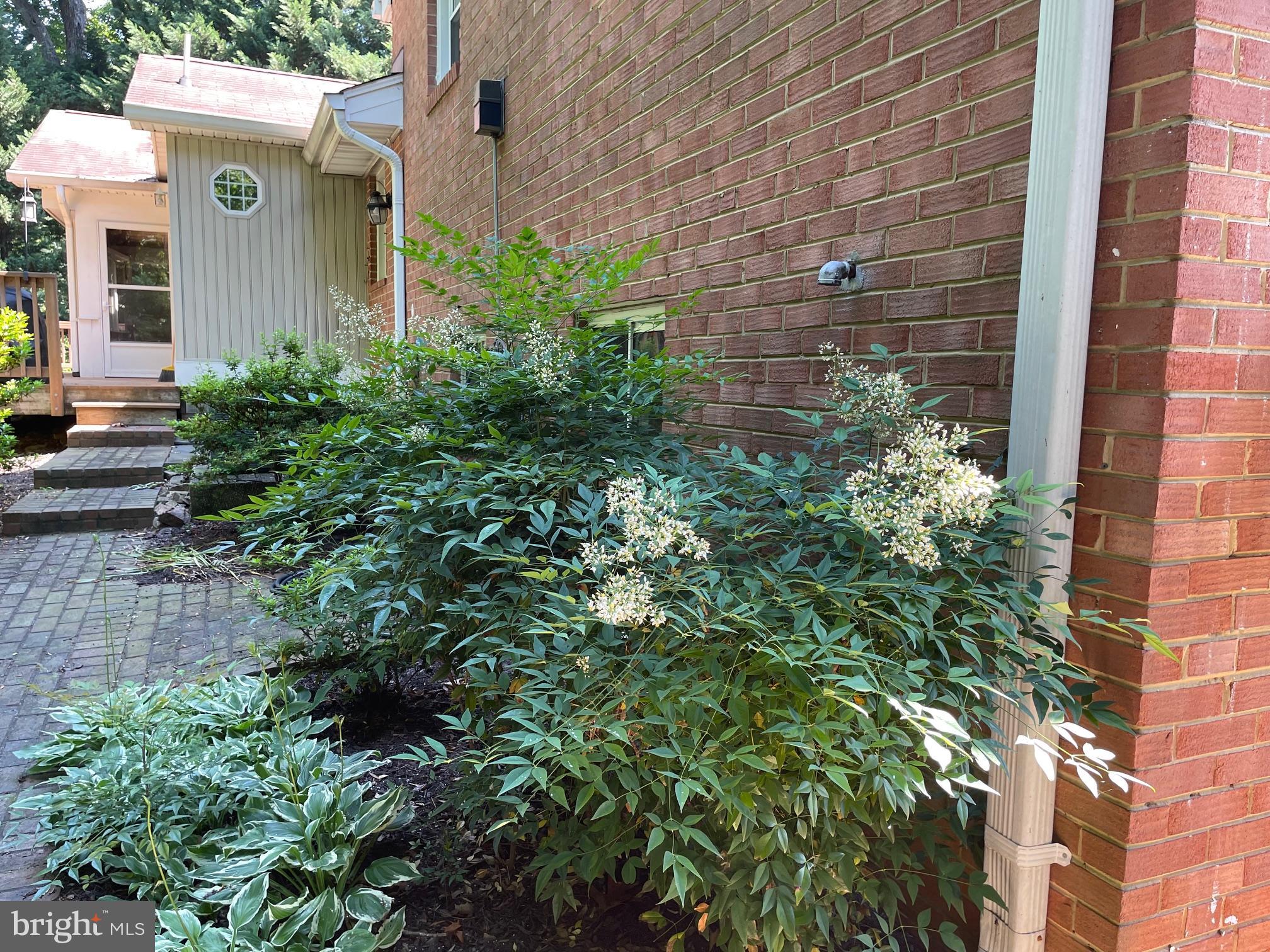 NORTH SPRINGFIELD - Residential