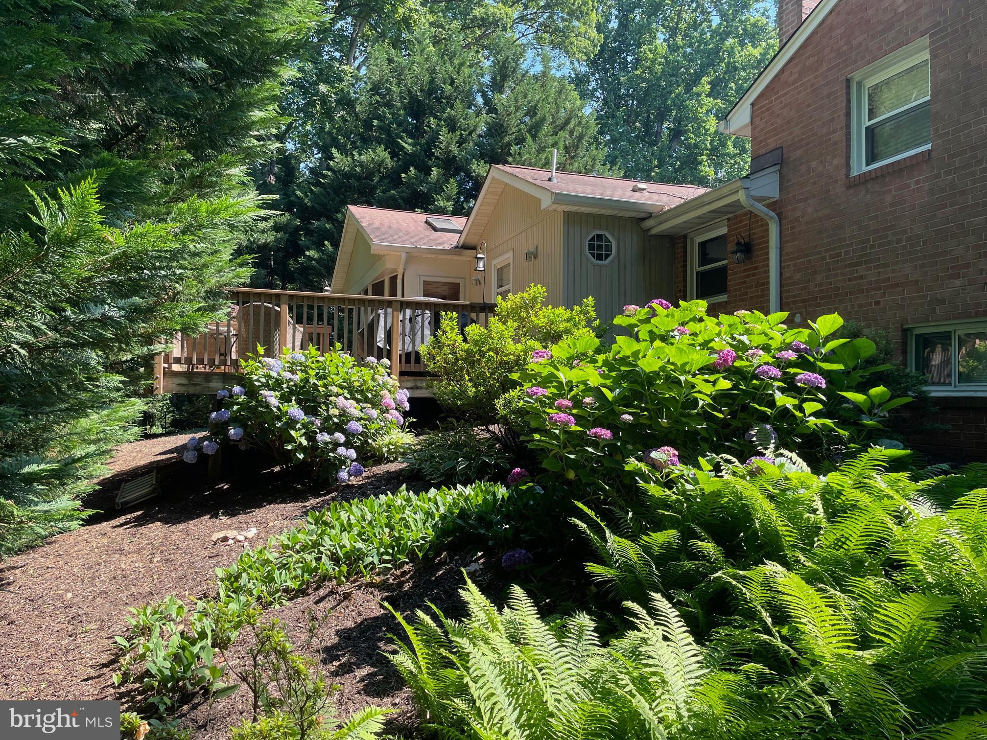 NORTH SPRINGFIELD - Residential