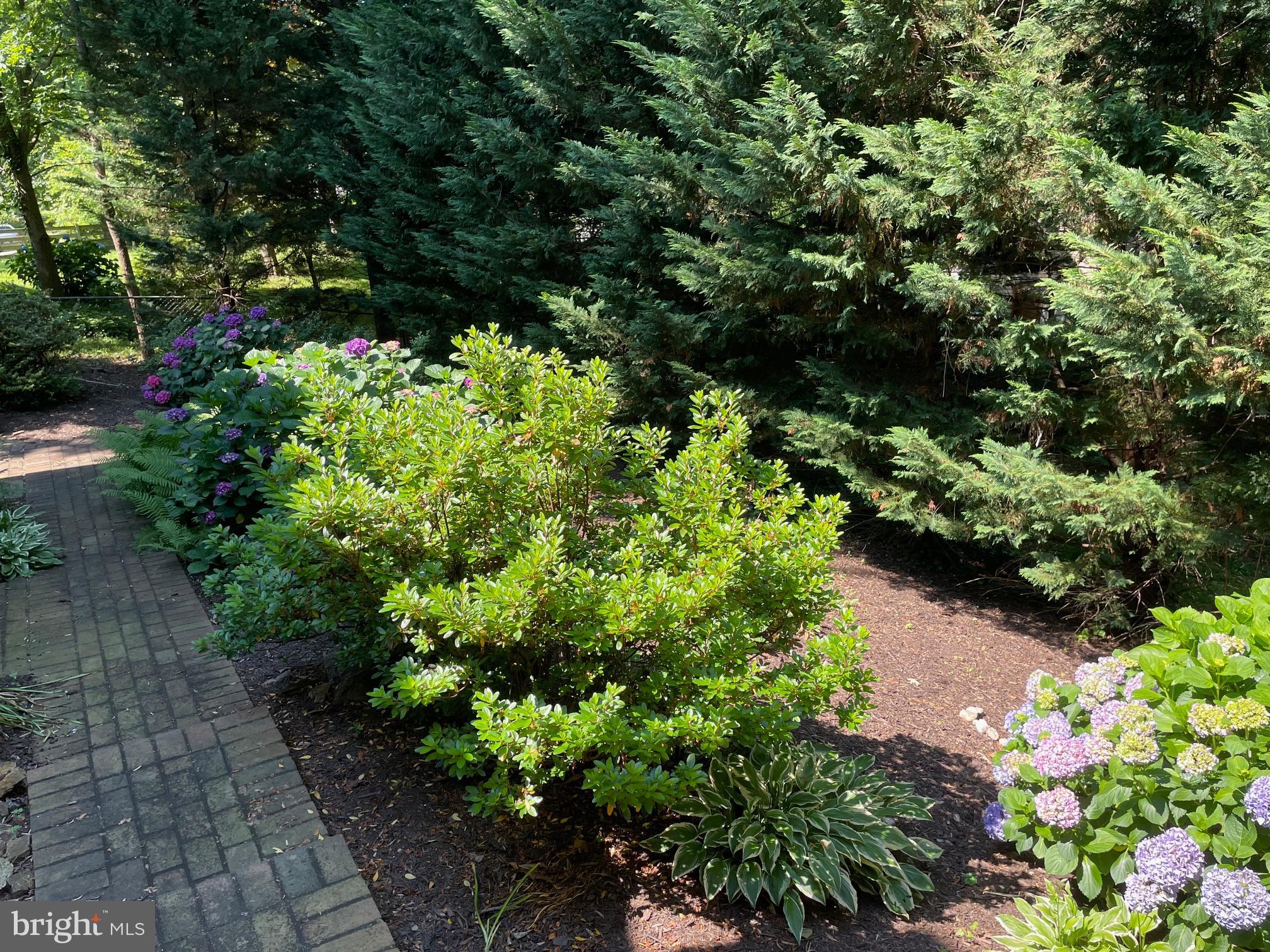 NORTH SPRINGFIELD - Residential