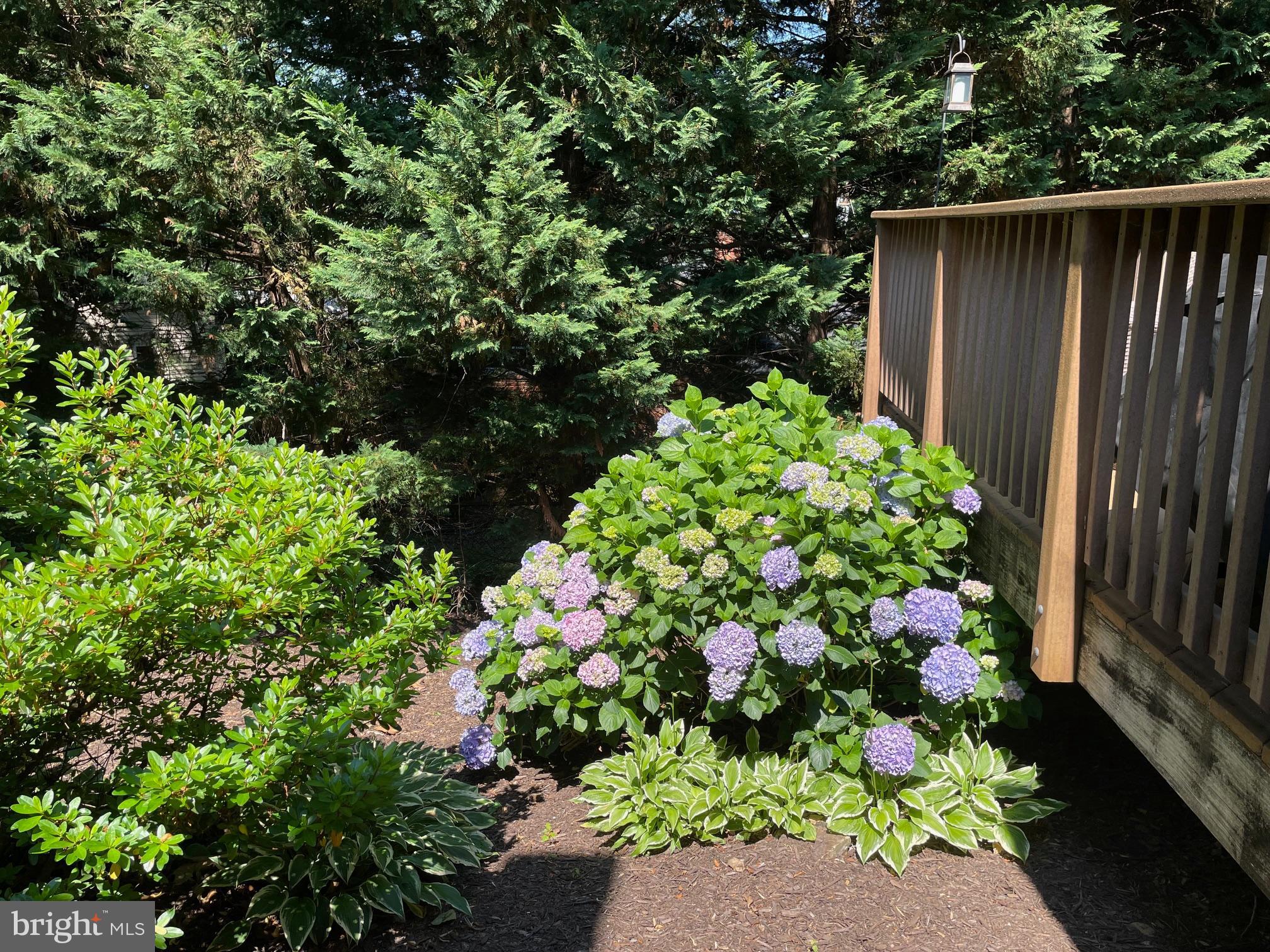 NORTH SPRINGFIELD - Residential