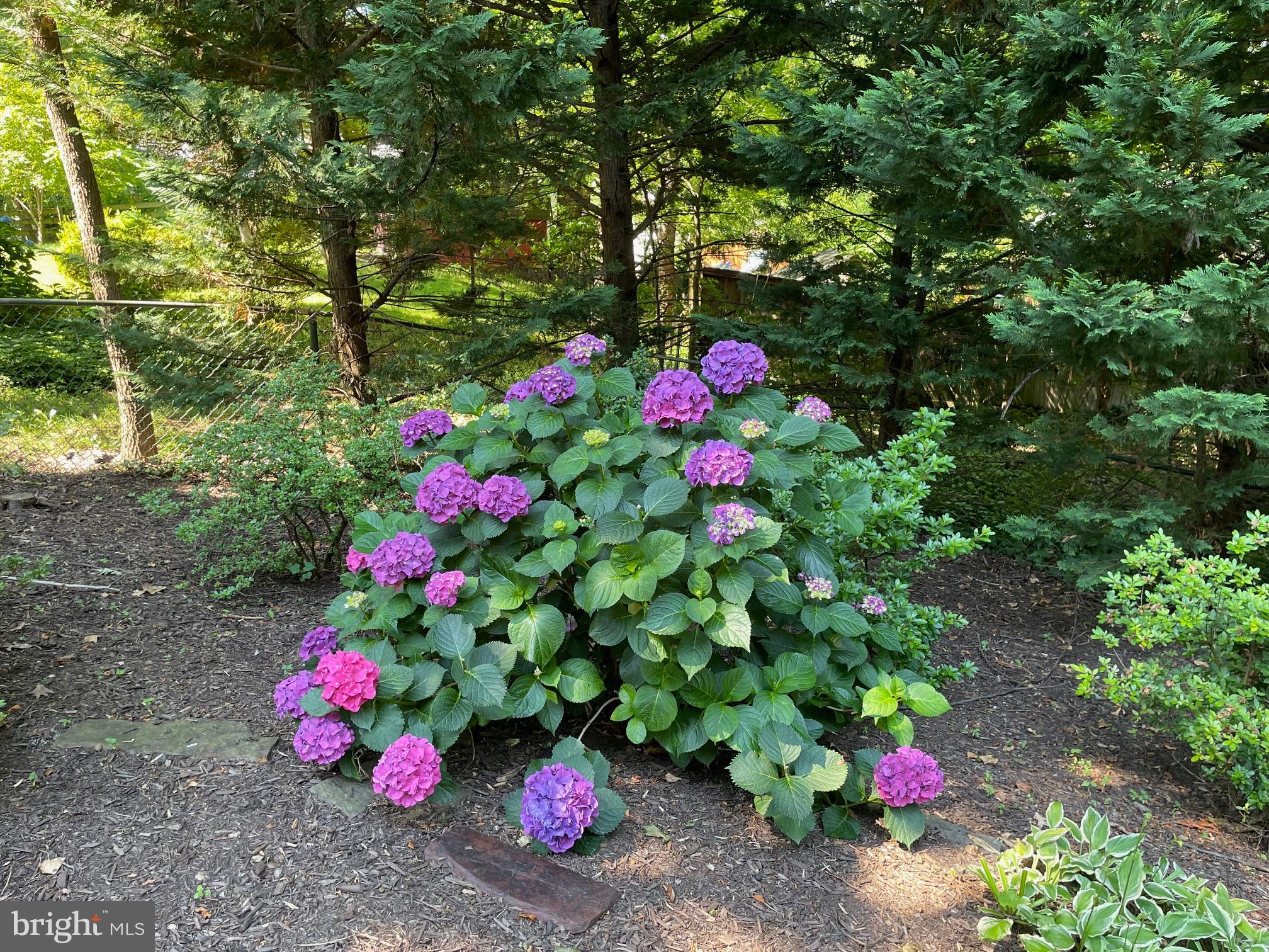 NORTH SPRINGFIELD - Residential