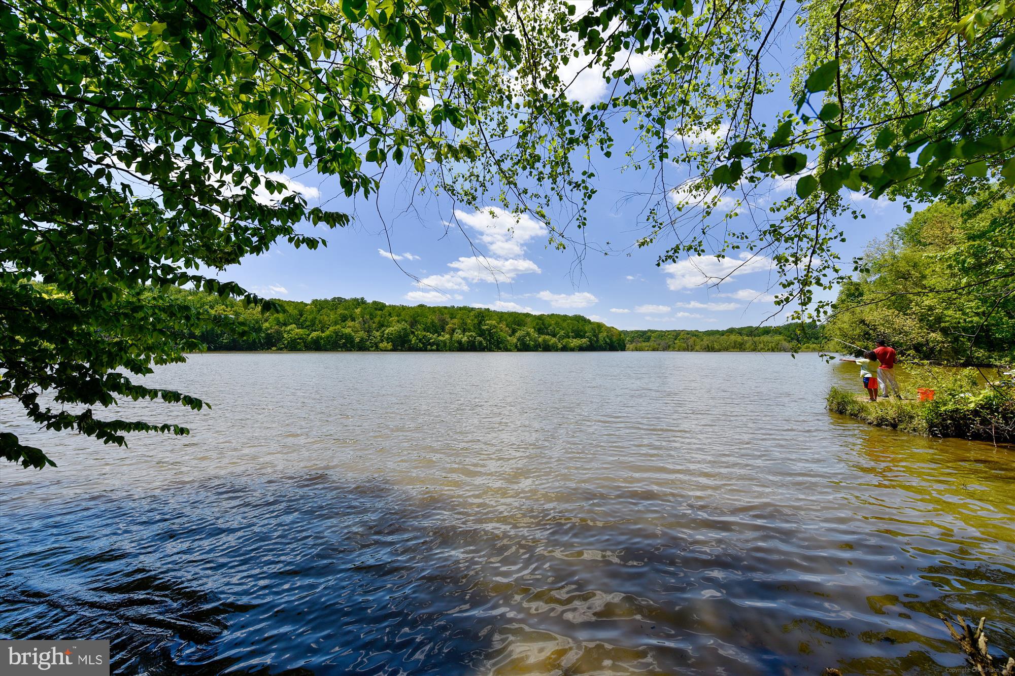 NORTH SPRINGFIELD - Residential