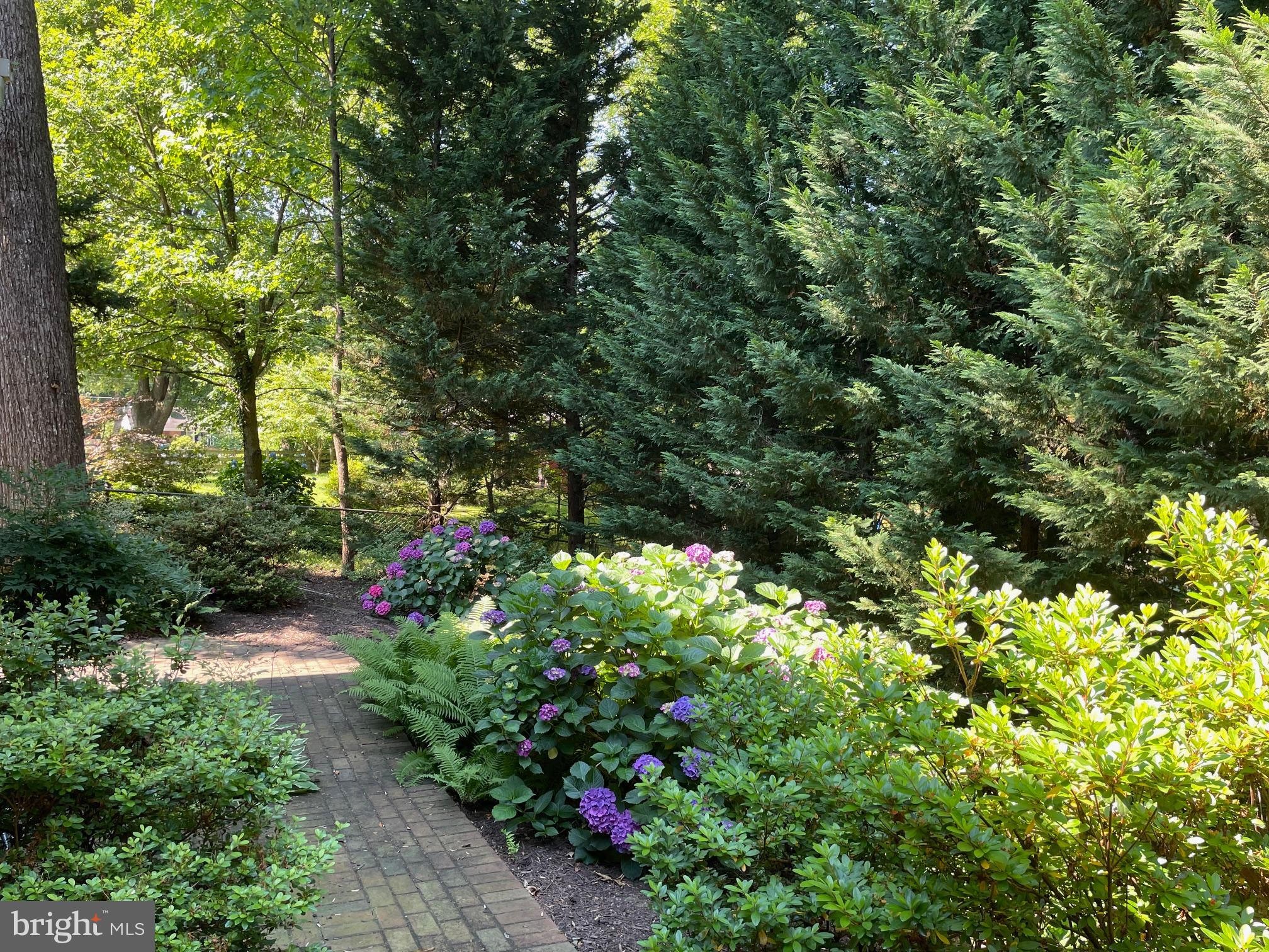 NORTH SPRINGFIELD - Residential