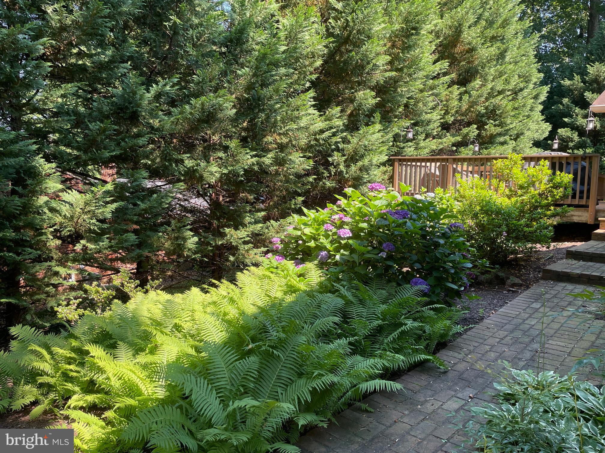 NORTH SPRINGFIELD - Residential