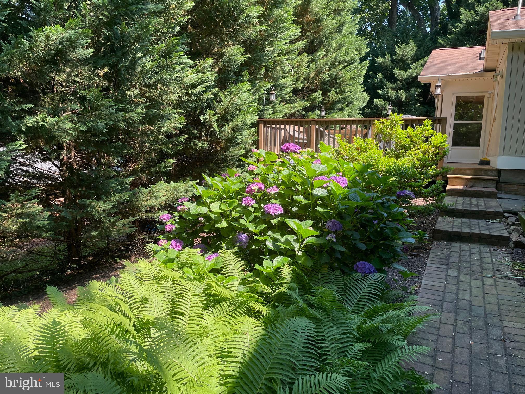 NORTH SPRINGFIELD - Residential