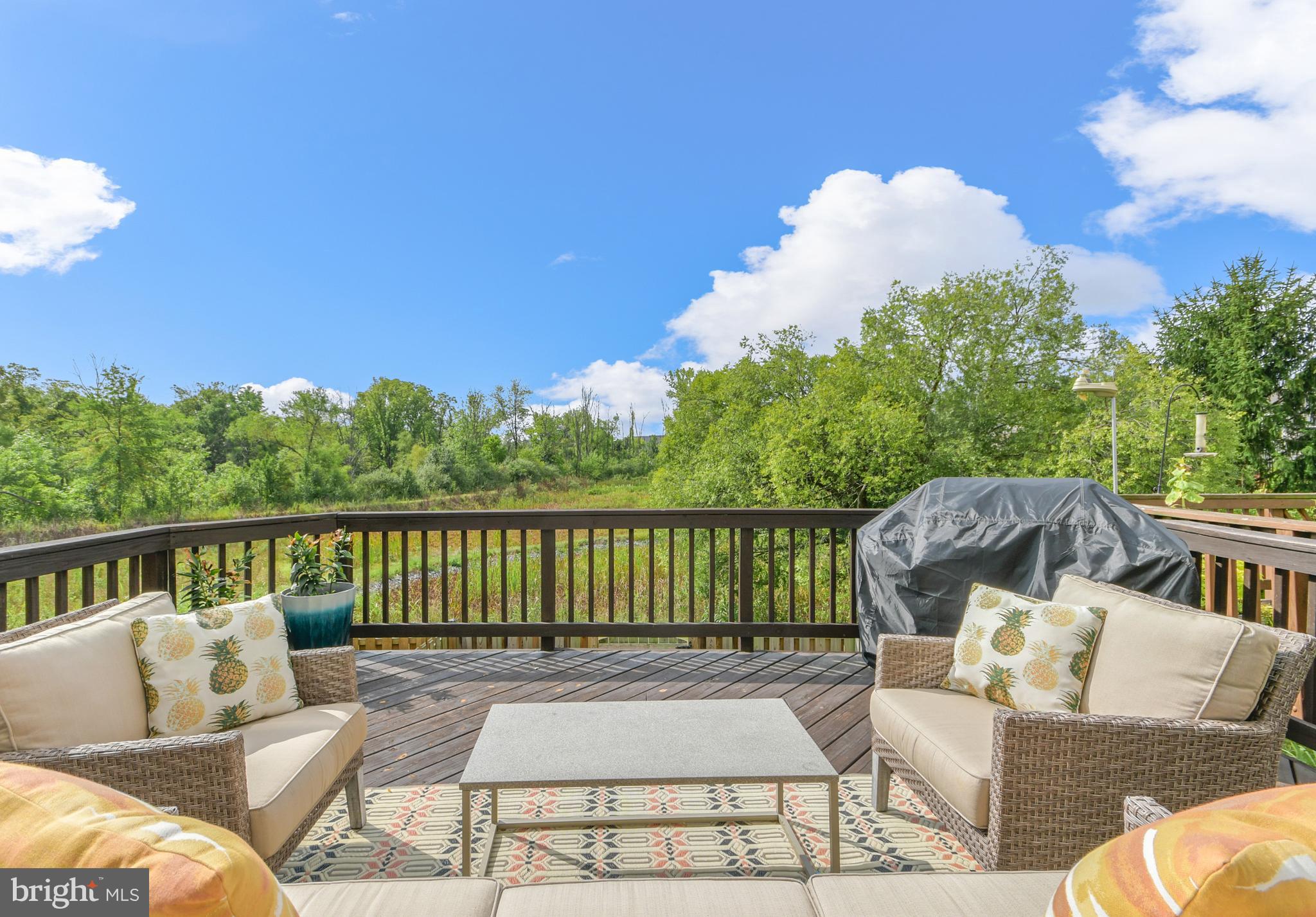 BALLENGER CROSSING - Residential