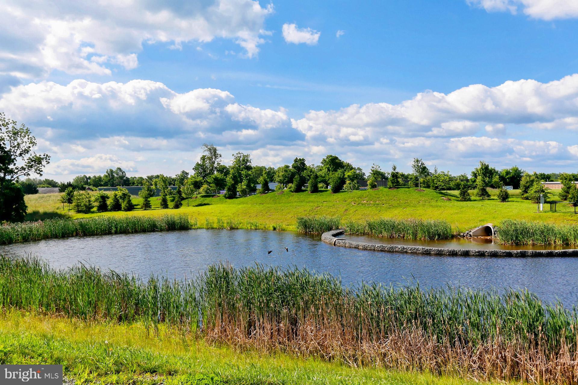 MAYFAIR - Residential