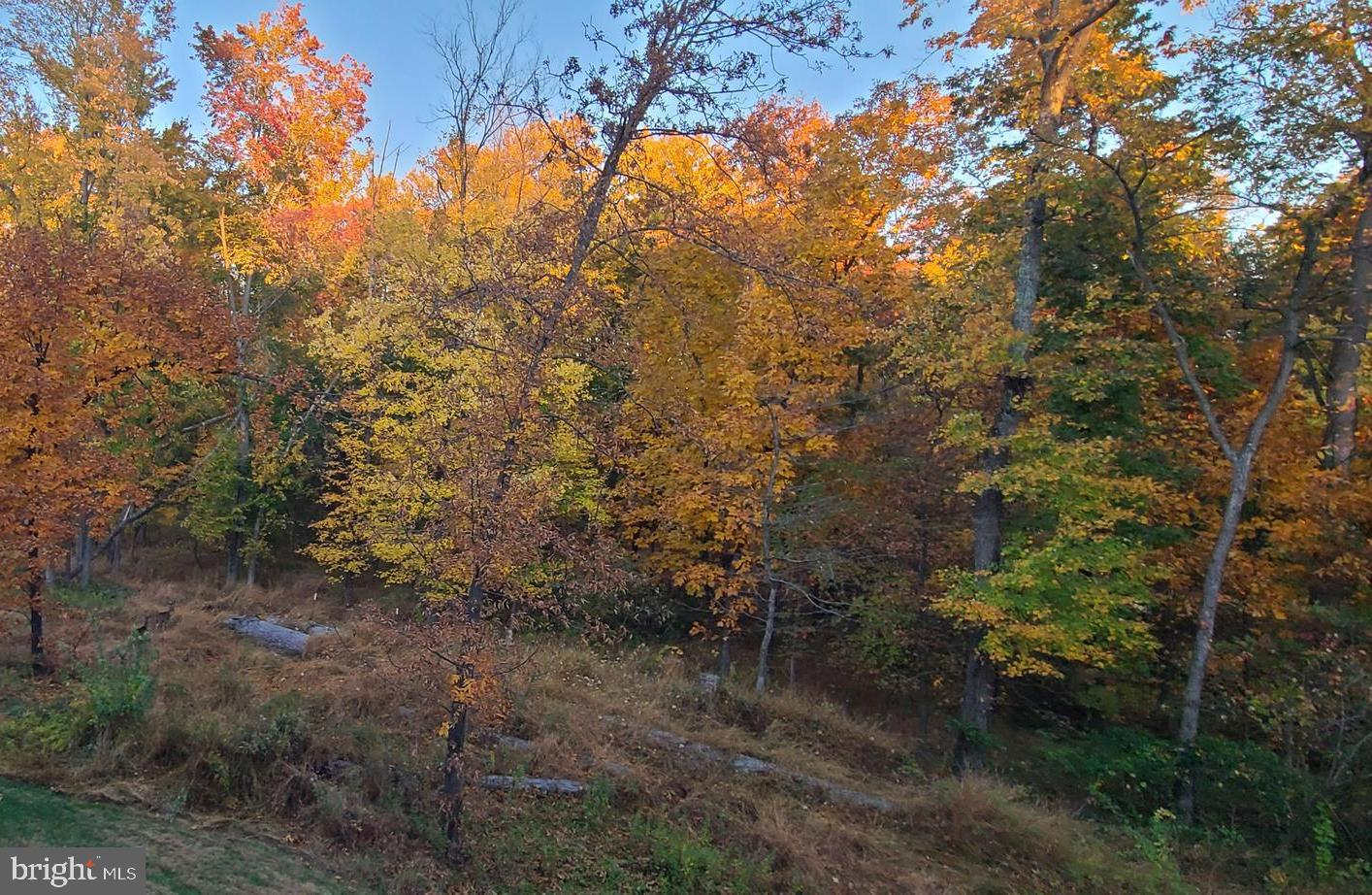 MAYFAIR - Residential