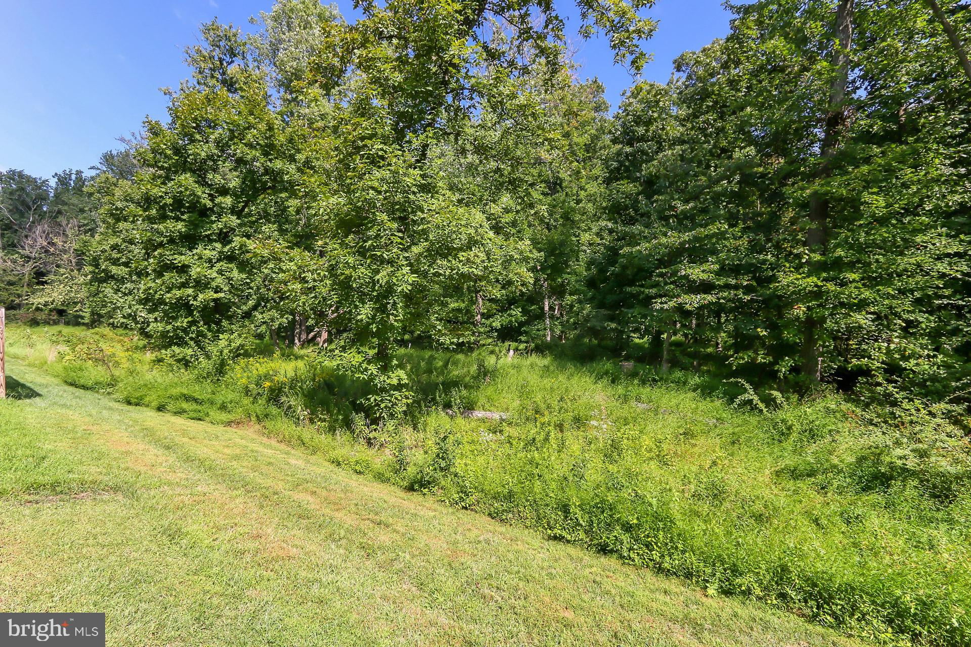 MAYFAIR - Residential