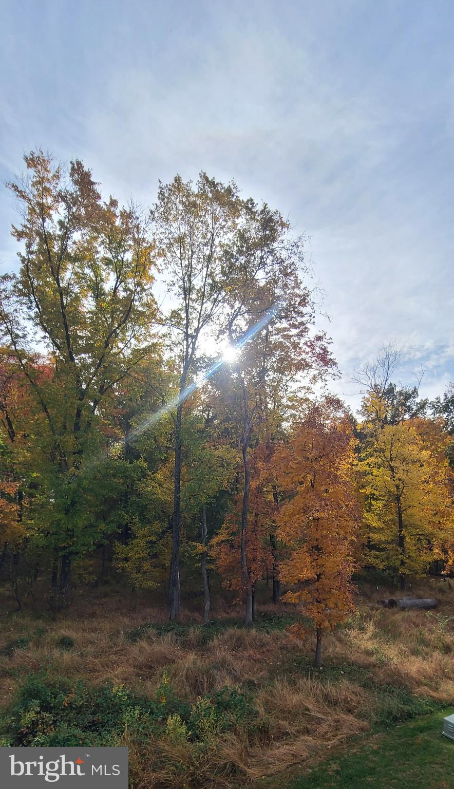 MAYFAIR - Residential