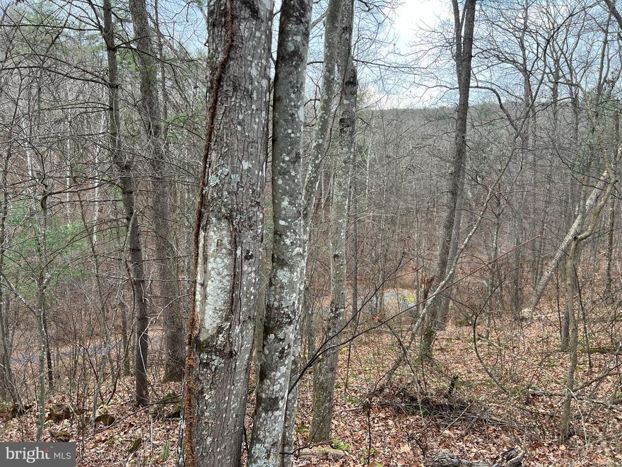 This .53 acre lot at Bryce Resort offers privacy and a panoramic view across a wide ravine with virtually no other houses in sight. Bring your plans and your builder and imagine what your own little piece of heaven could look like!