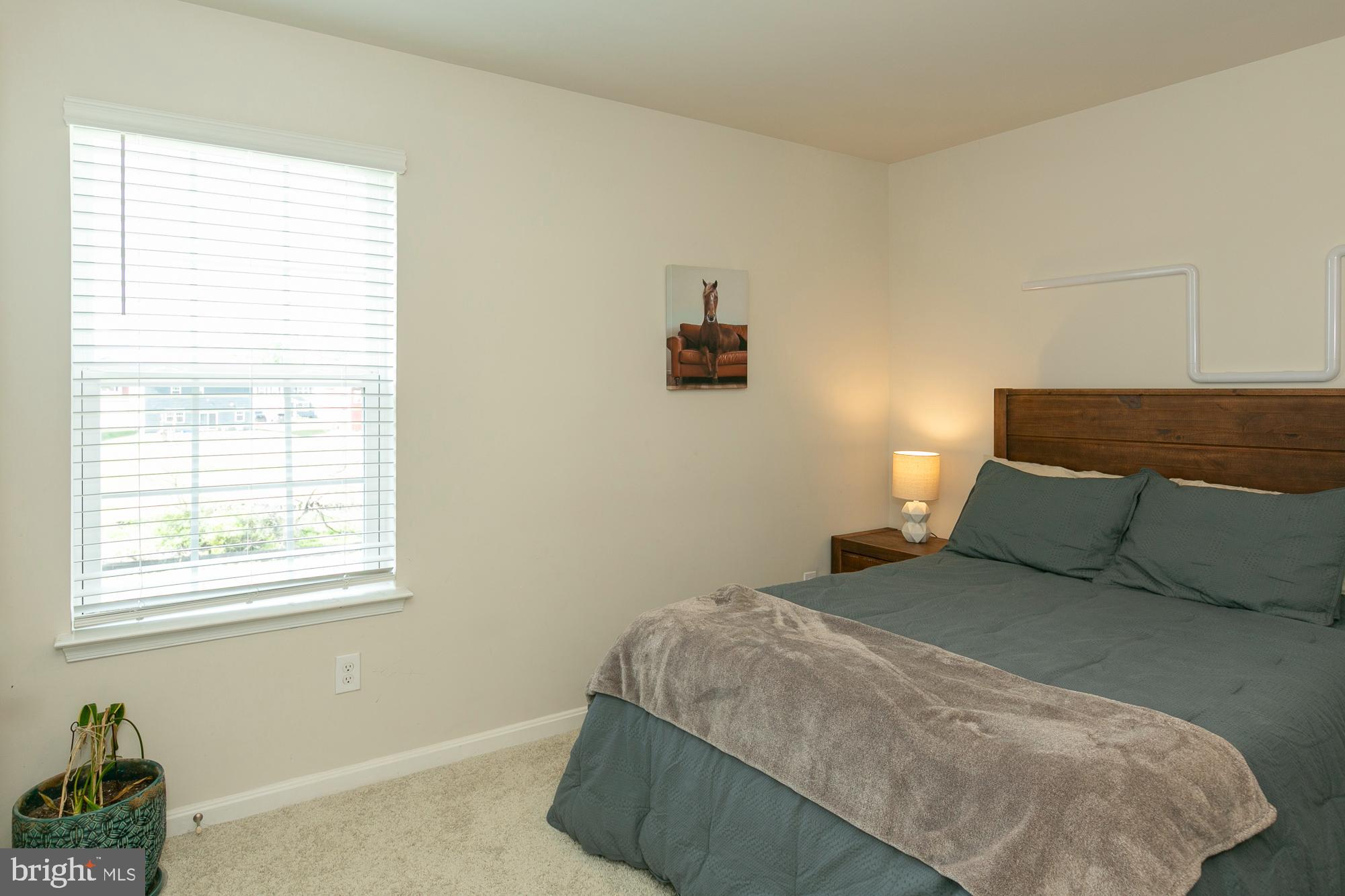 MAGNOLIA SPRINGS - Residential