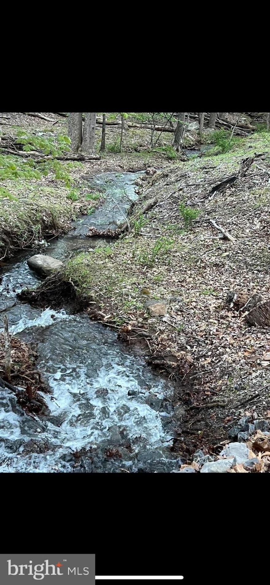 Lot A available for your pleasure