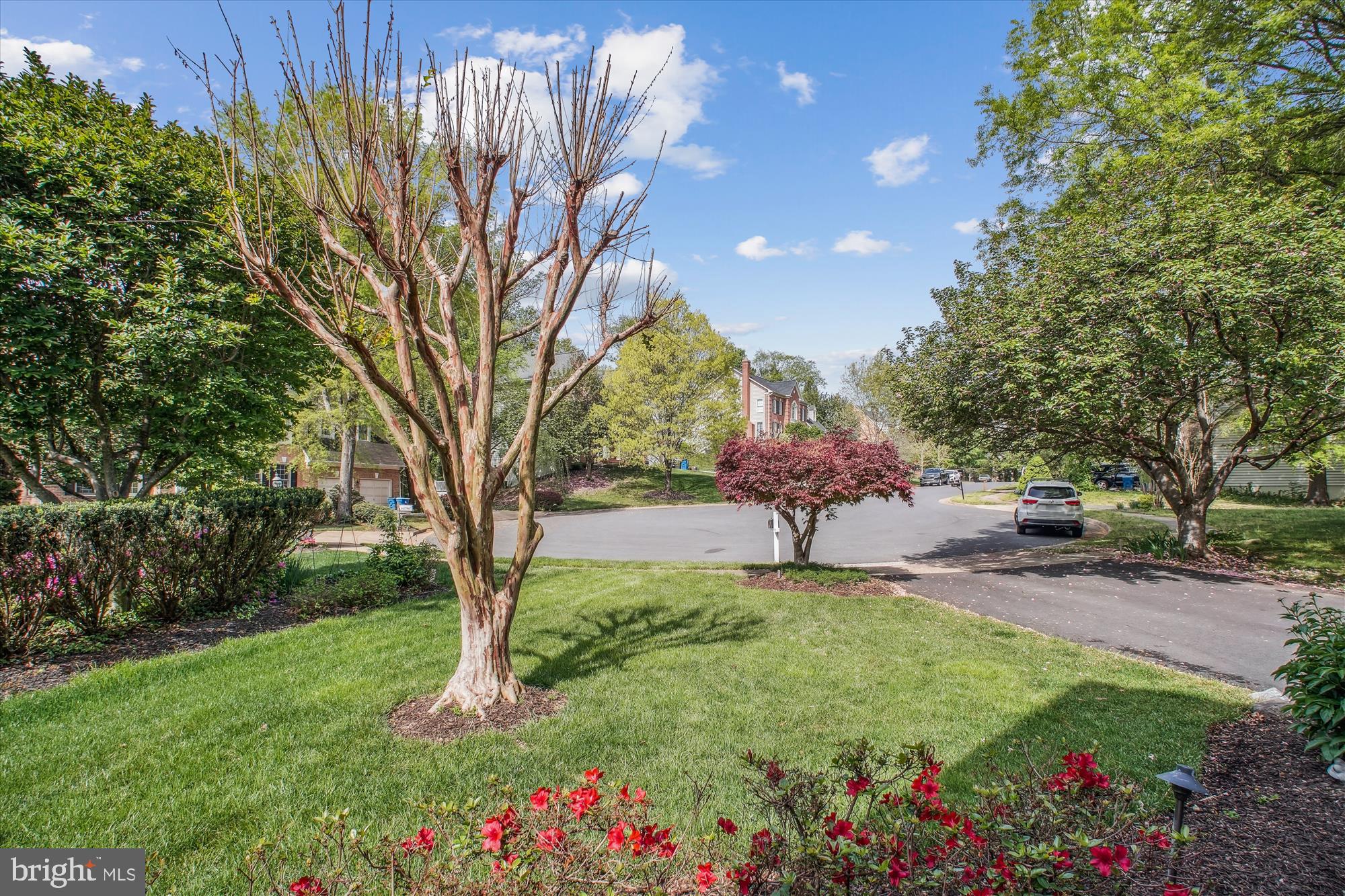 BRYNMAWR HEIGHTS - Residential