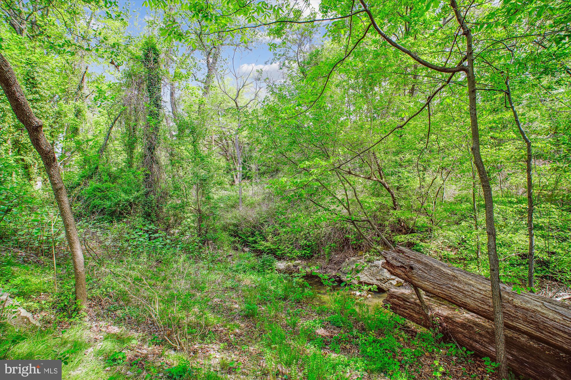 BRYNMAWR HEIGHTS - Residential