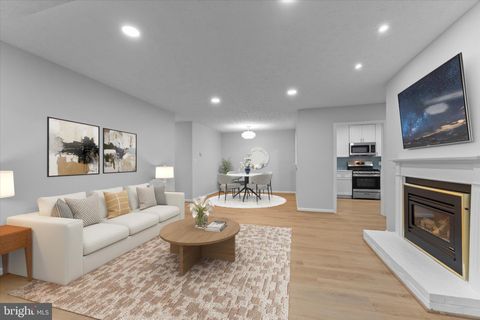 2245 HUNTERS RUN DRIVE RESTON VA 20191