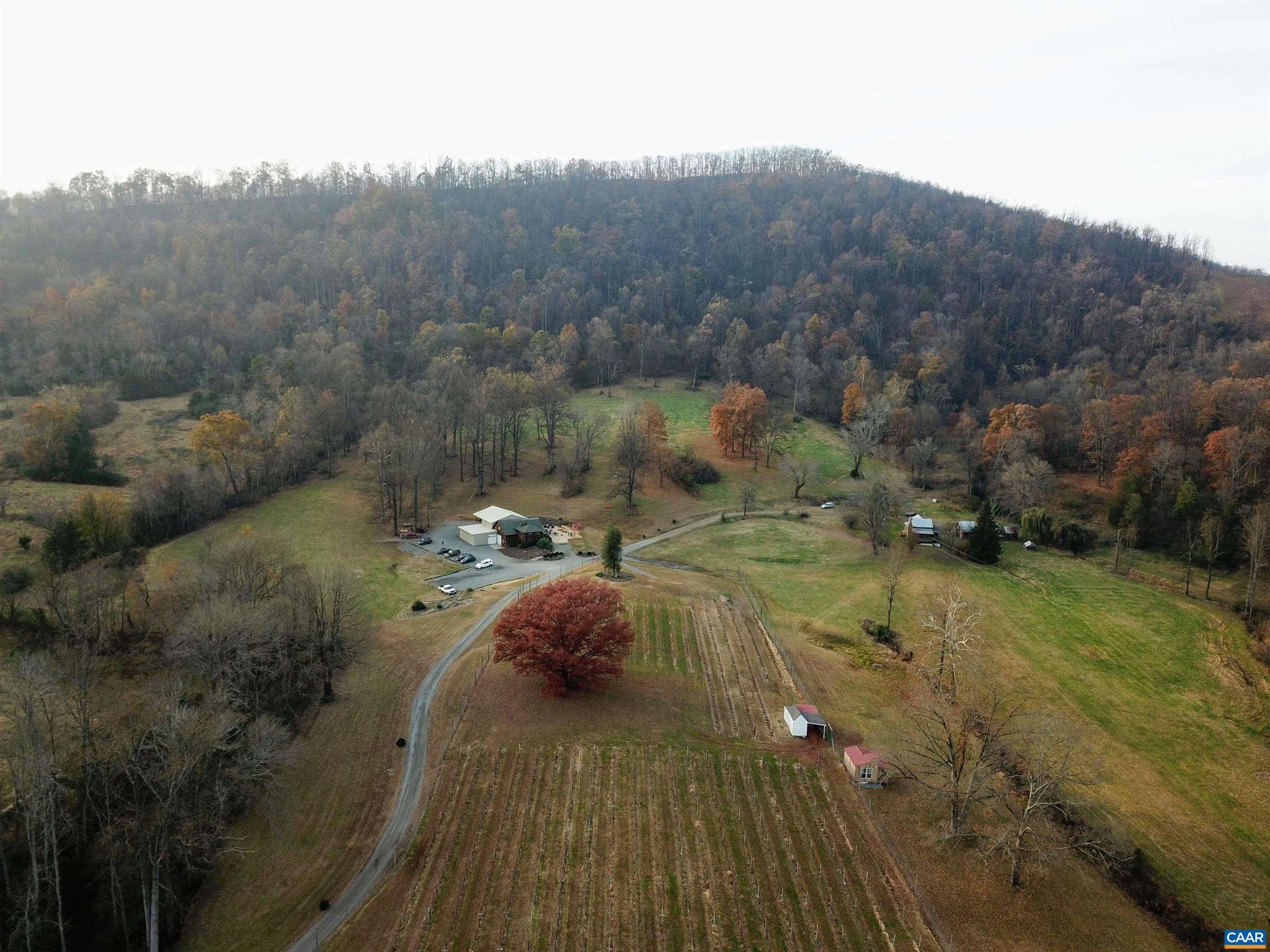 3613 WALNUT BRANCH LN