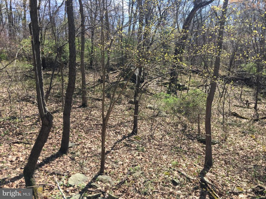 The mix of woods, clearing with trails with sporadically spaced boulders creating a beautiful park like setting for your new home. This unfinished developed property has multiple elevations with a great flat area for your new home. The property is lined by stacked stone just off Coxey Brown road. Approved with well and septic field just awaiting your vision.