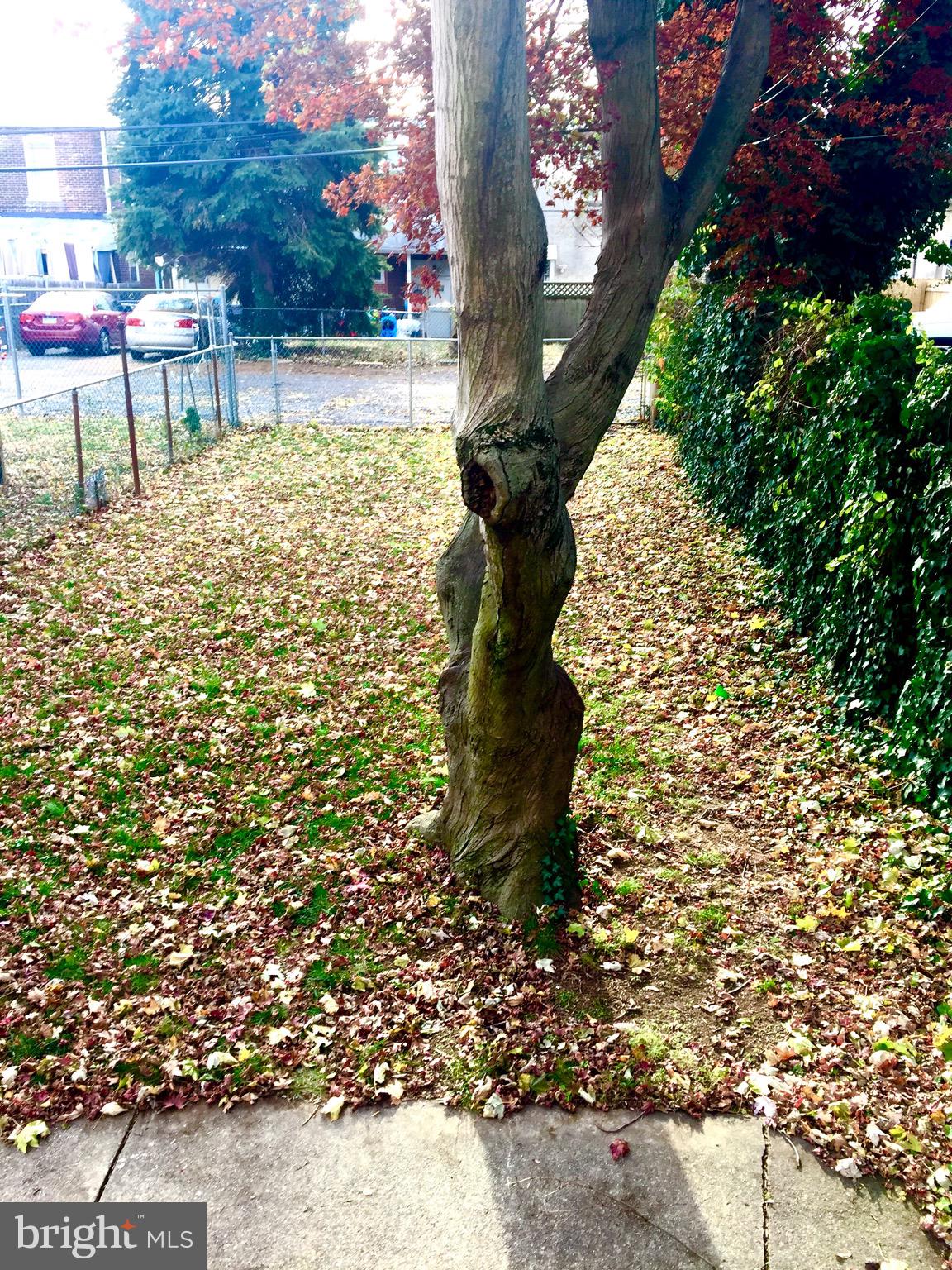 ROXBOROUGH - Residential Lease