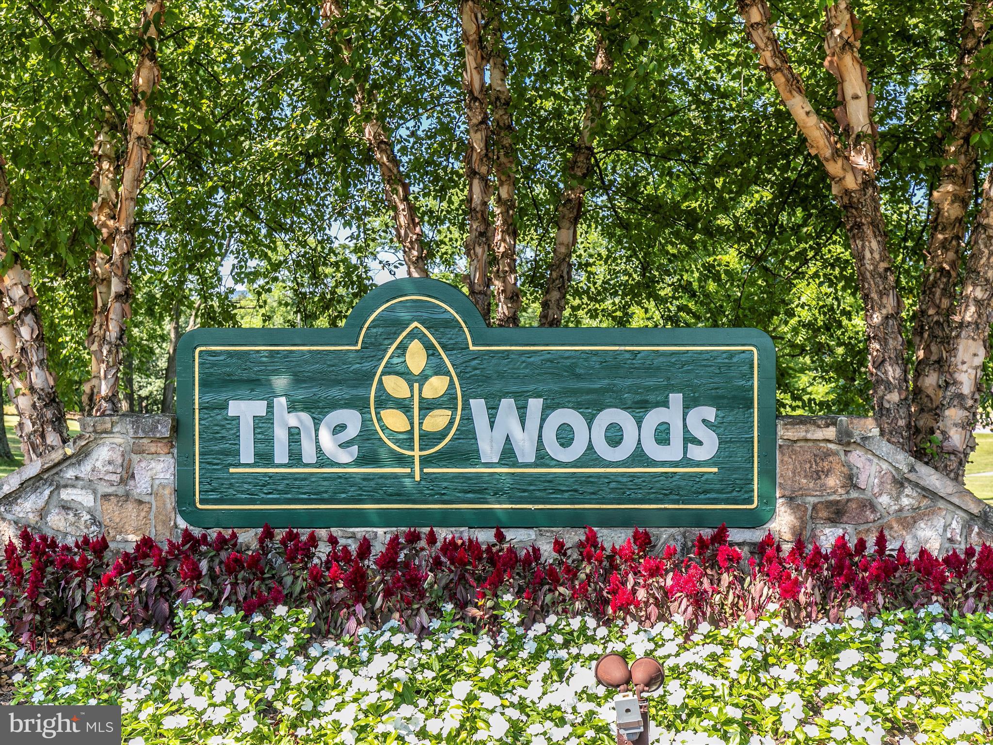 THE WOODS - Residential