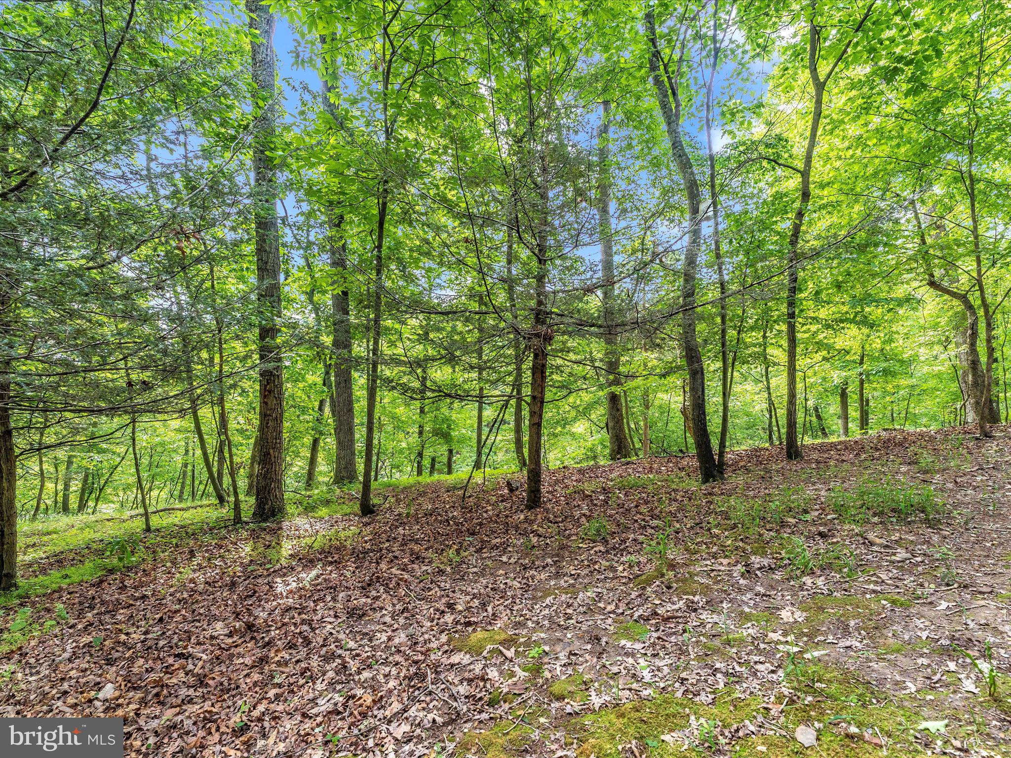 THE WOODS - Residential