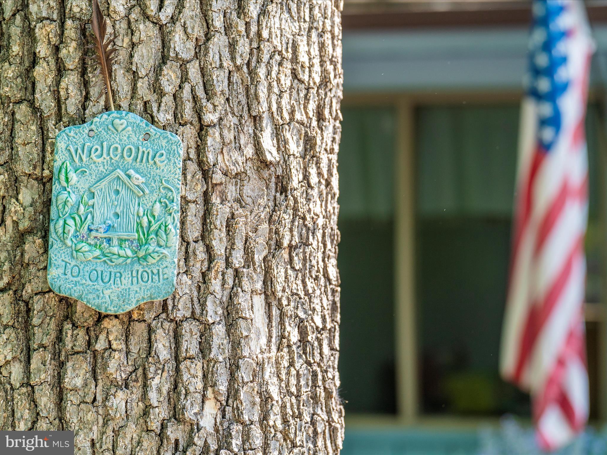 THE WOODS - Residential