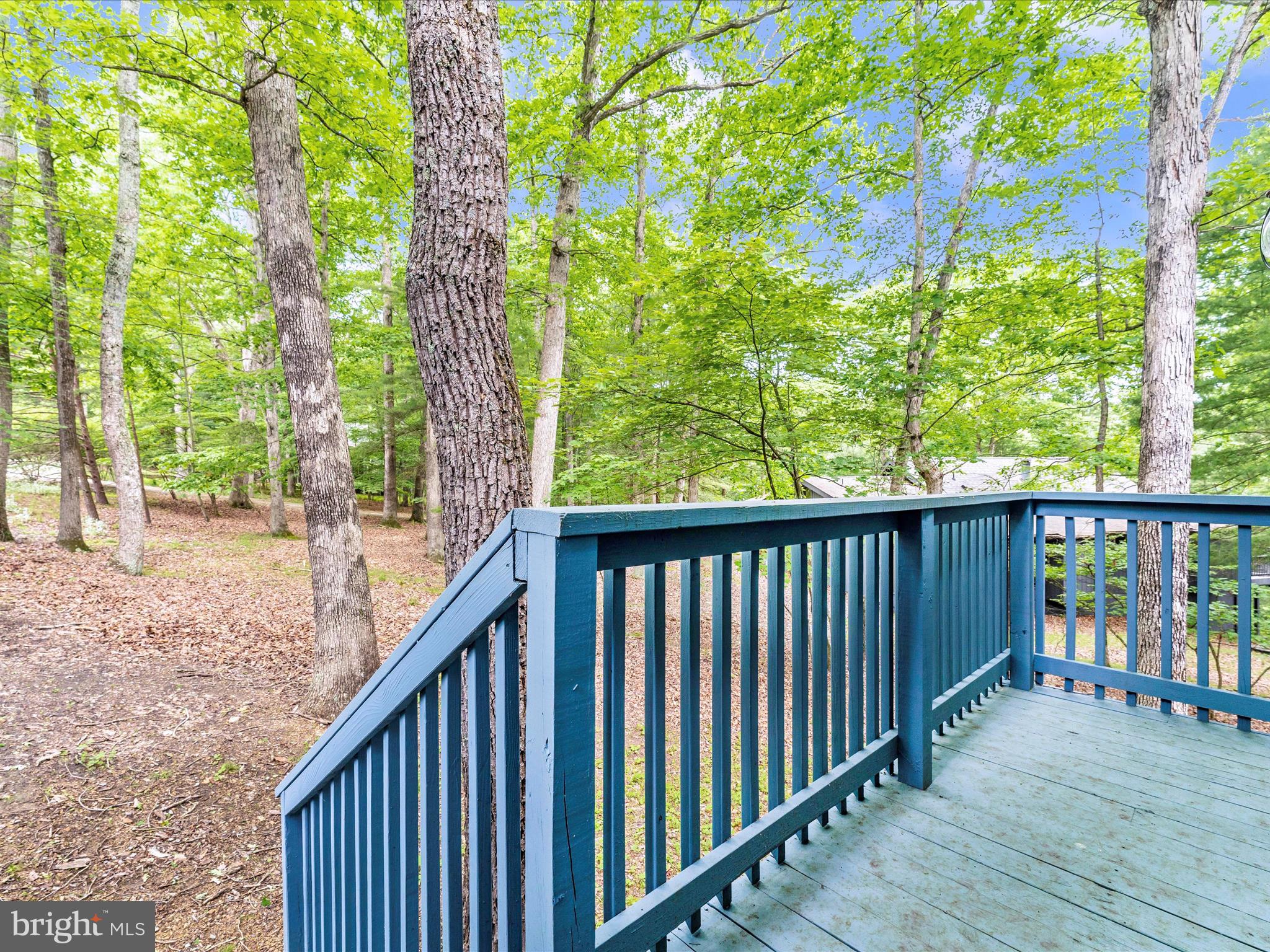 THE WOODS - Residential