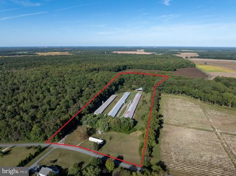 6026 COKESBURY ROAD RHODESDALE MD 21659