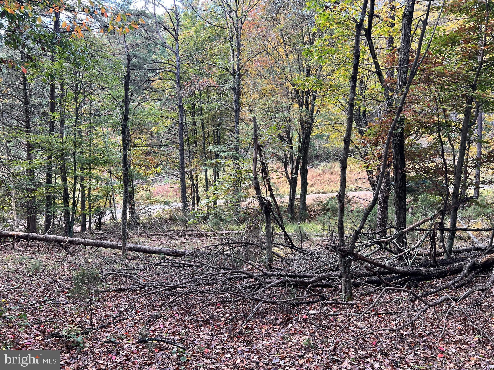 HIGH MOUNTAIN MEADOWS - Land