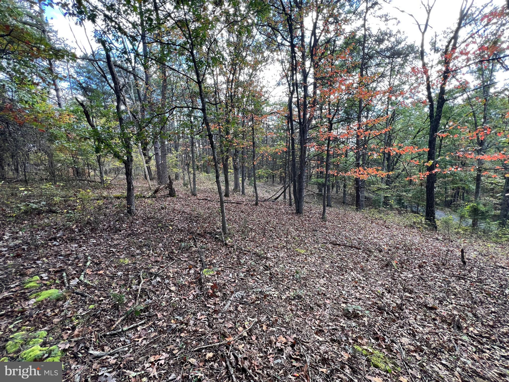 HIGH MOUNTAIN MEADOWS - Land