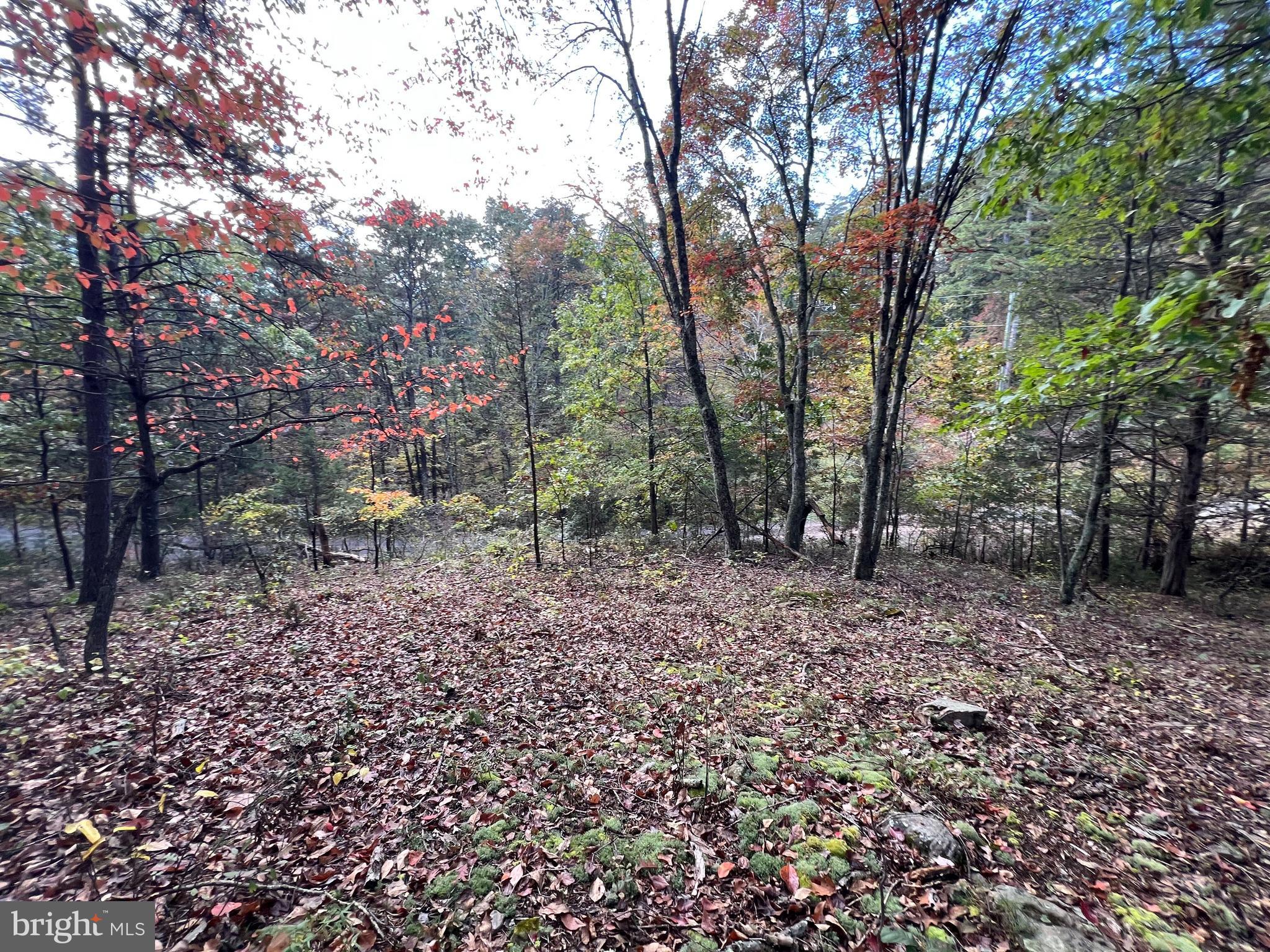 HIGH MOUNTAIN MEADOWS - Land