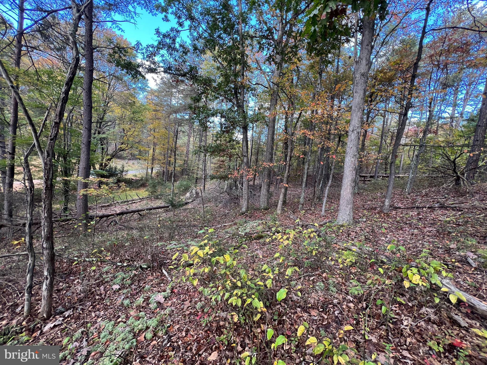 HIGH MOUNTAIN MEADOWS - Land