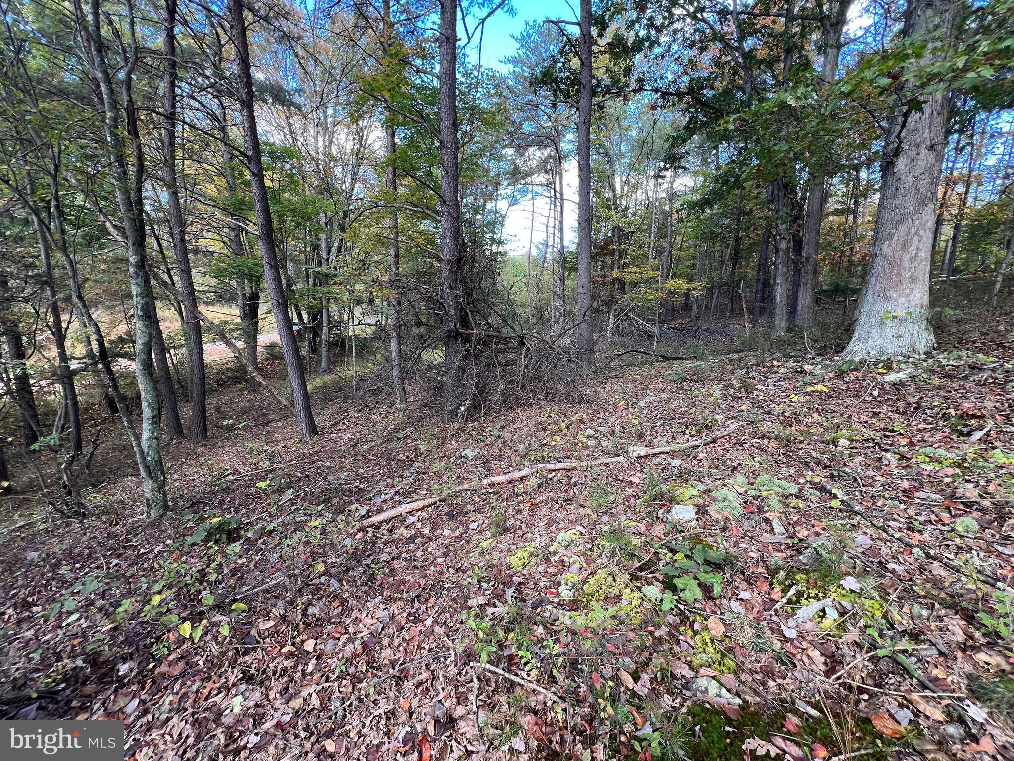 HIGH MOUNTAIN MEADOWS - Land