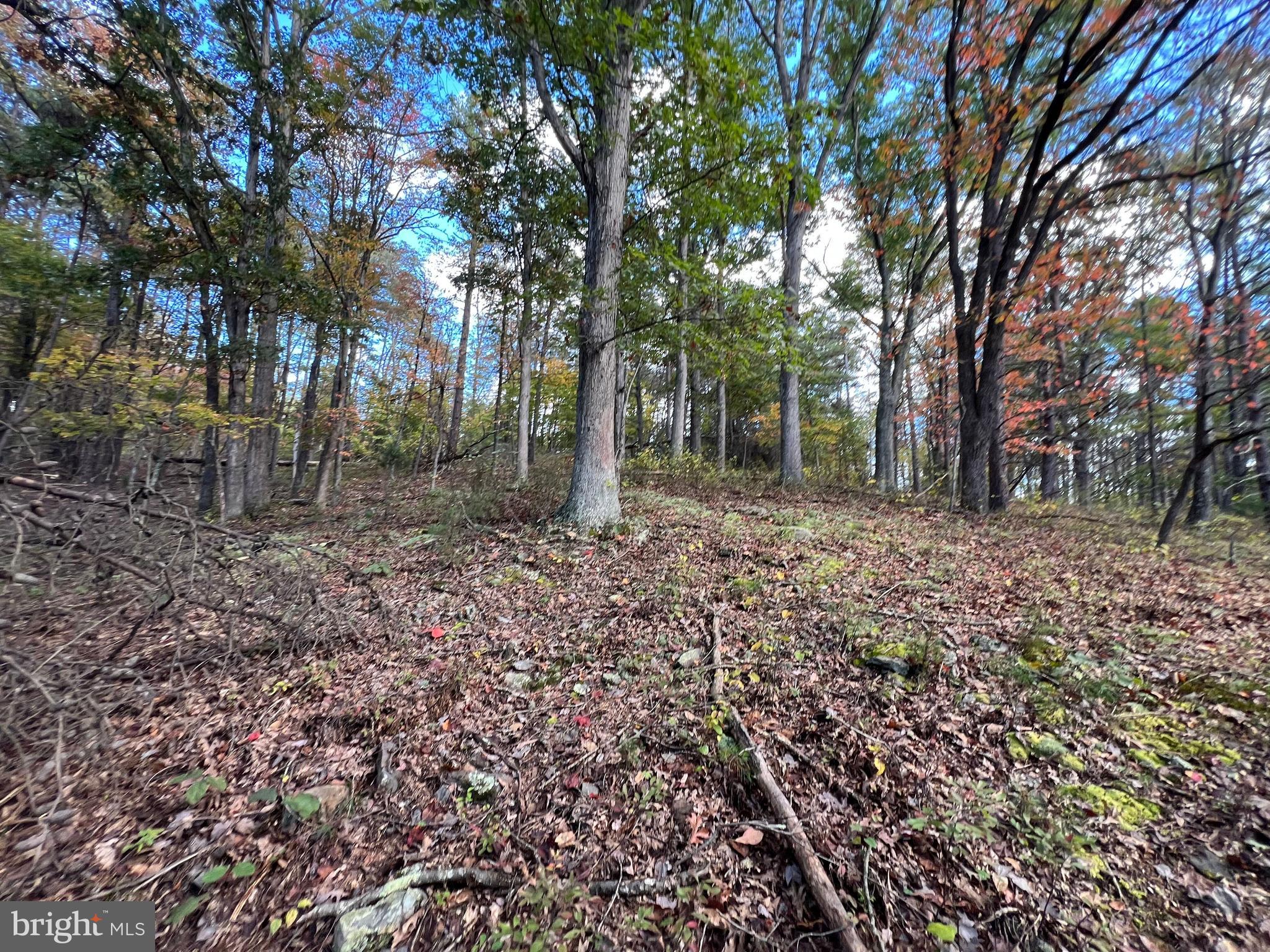 HIGH MOUNTAIN MEADOWS - Land