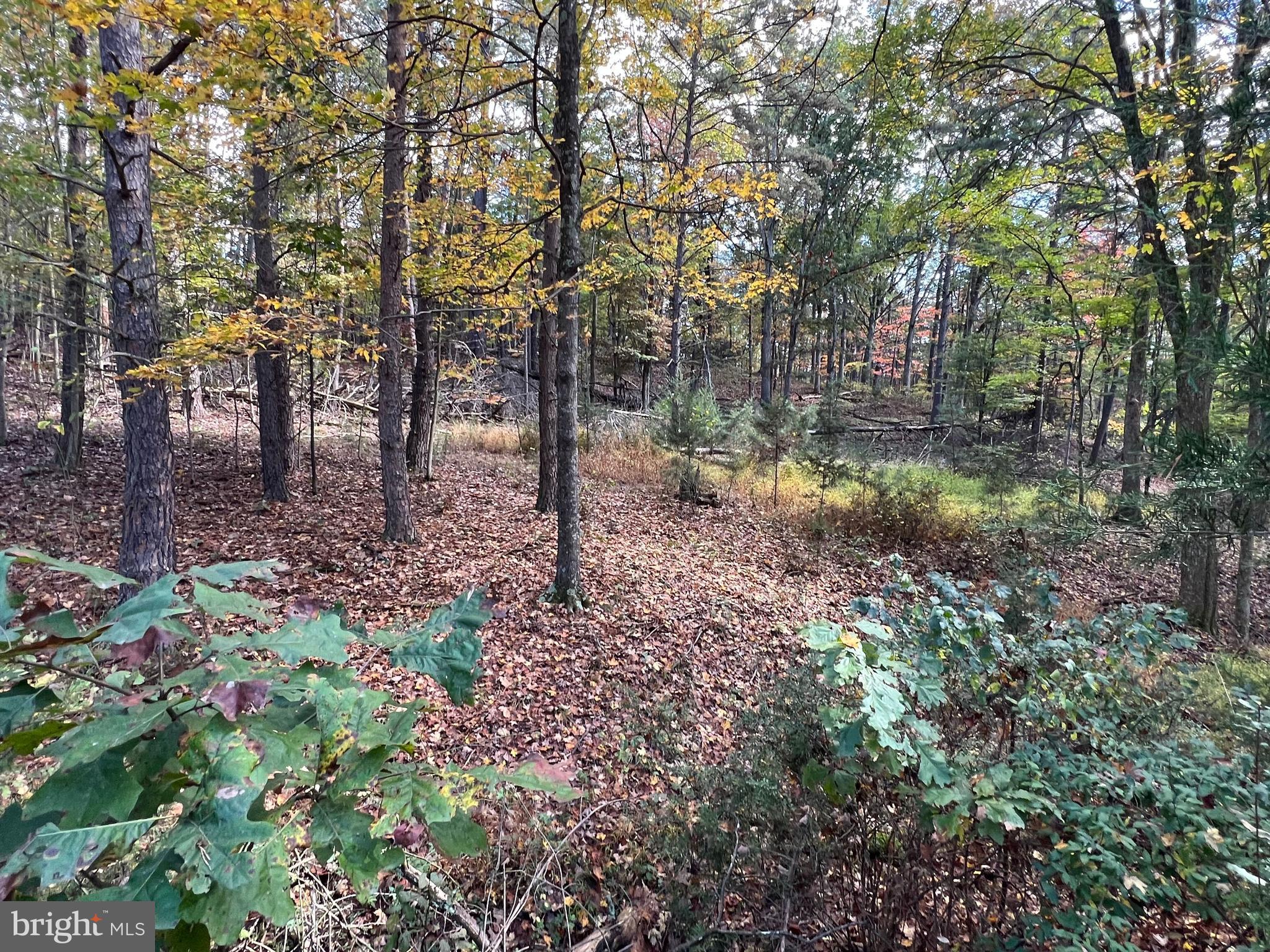 HIGH MOUNTAIN MEADOWS - Land