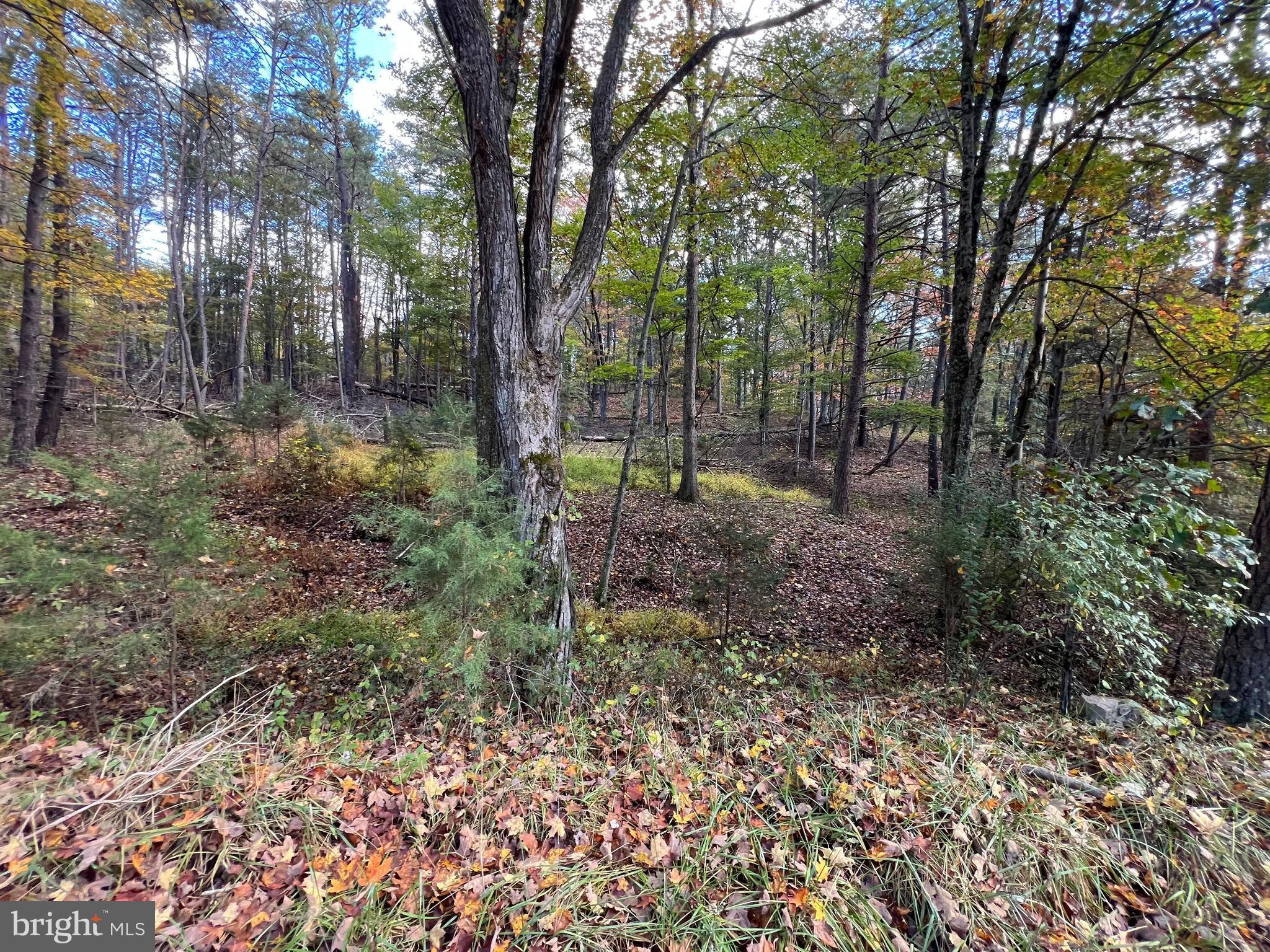 HIGH MOUNTAIN MEADOWS - Land