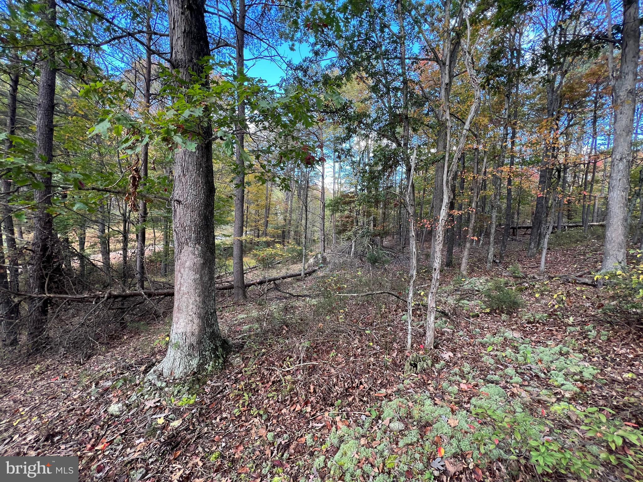 HIGH MOUNTAIN MEADOWS - Land