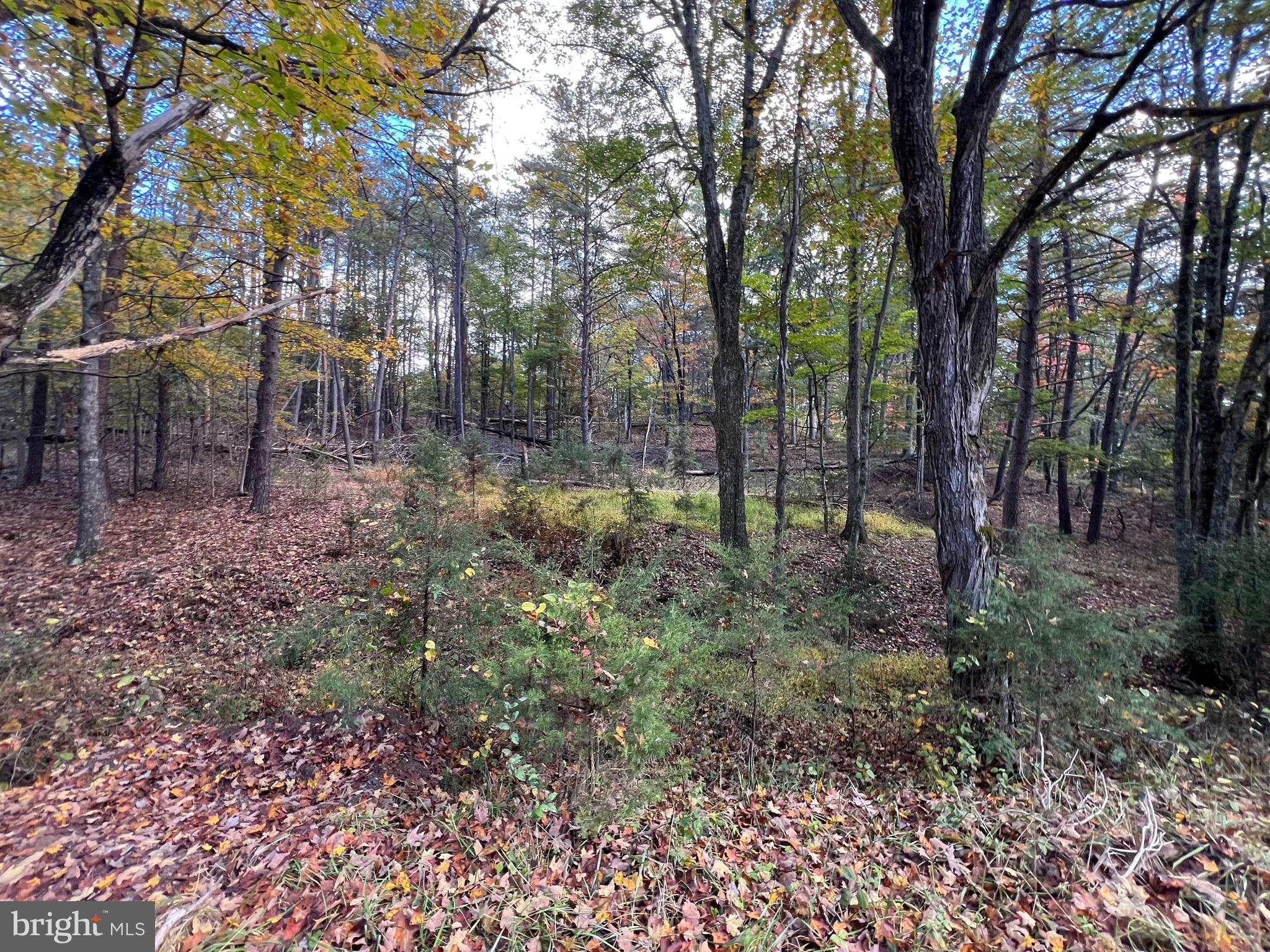 HIGH MOUNTAIN MEADOWS - Land