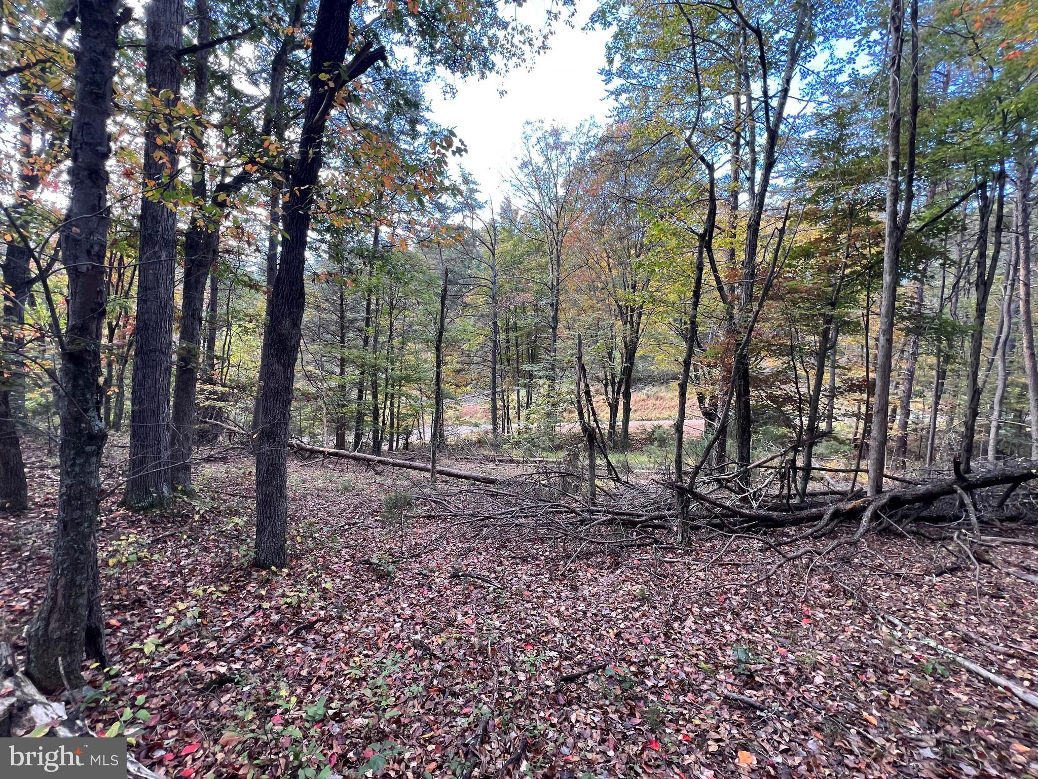 Lot 6 DEEP RUN HOLLOW ROAD