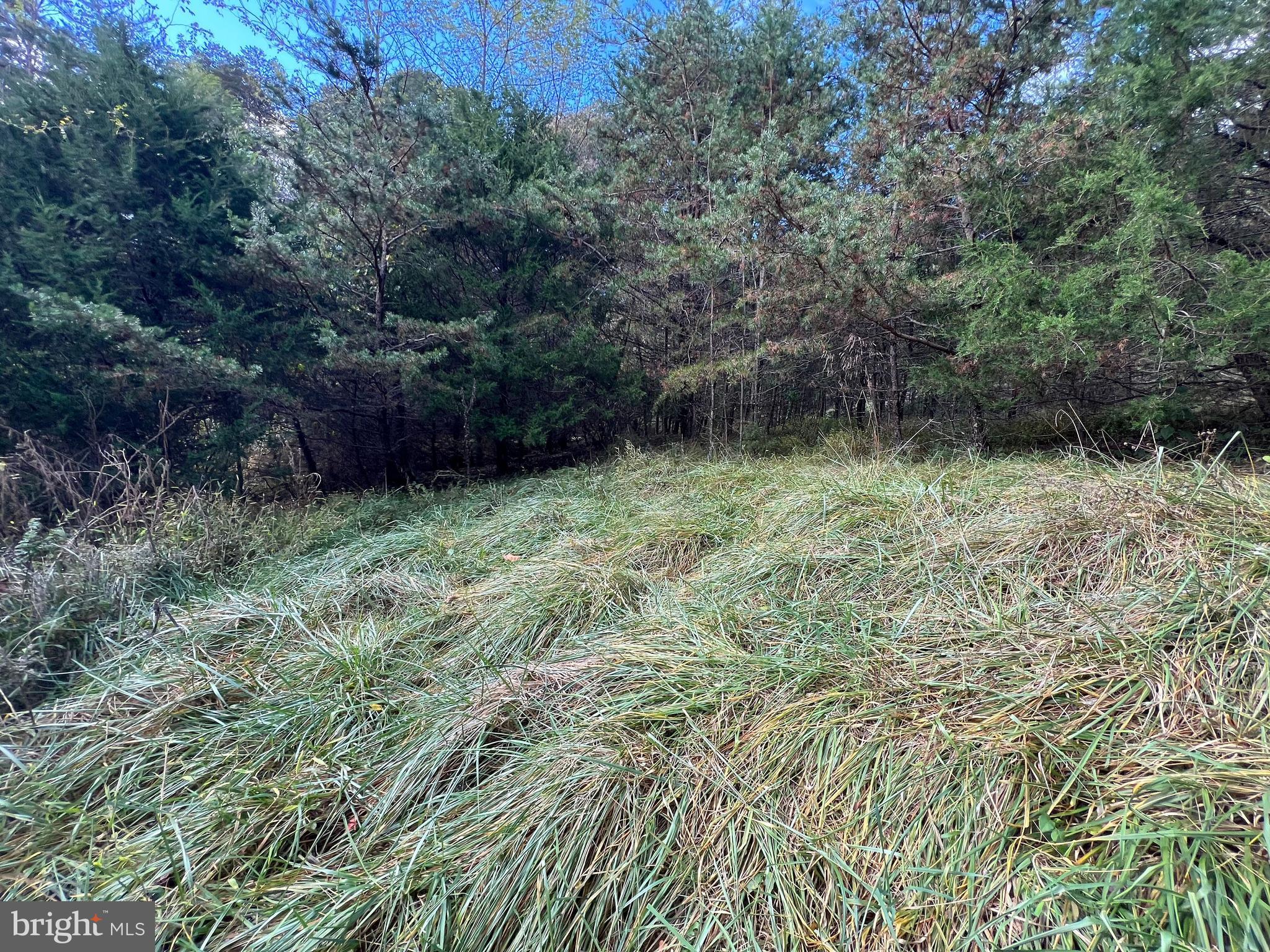 Lot 6 DEEP RUN HOLLOW ROAD